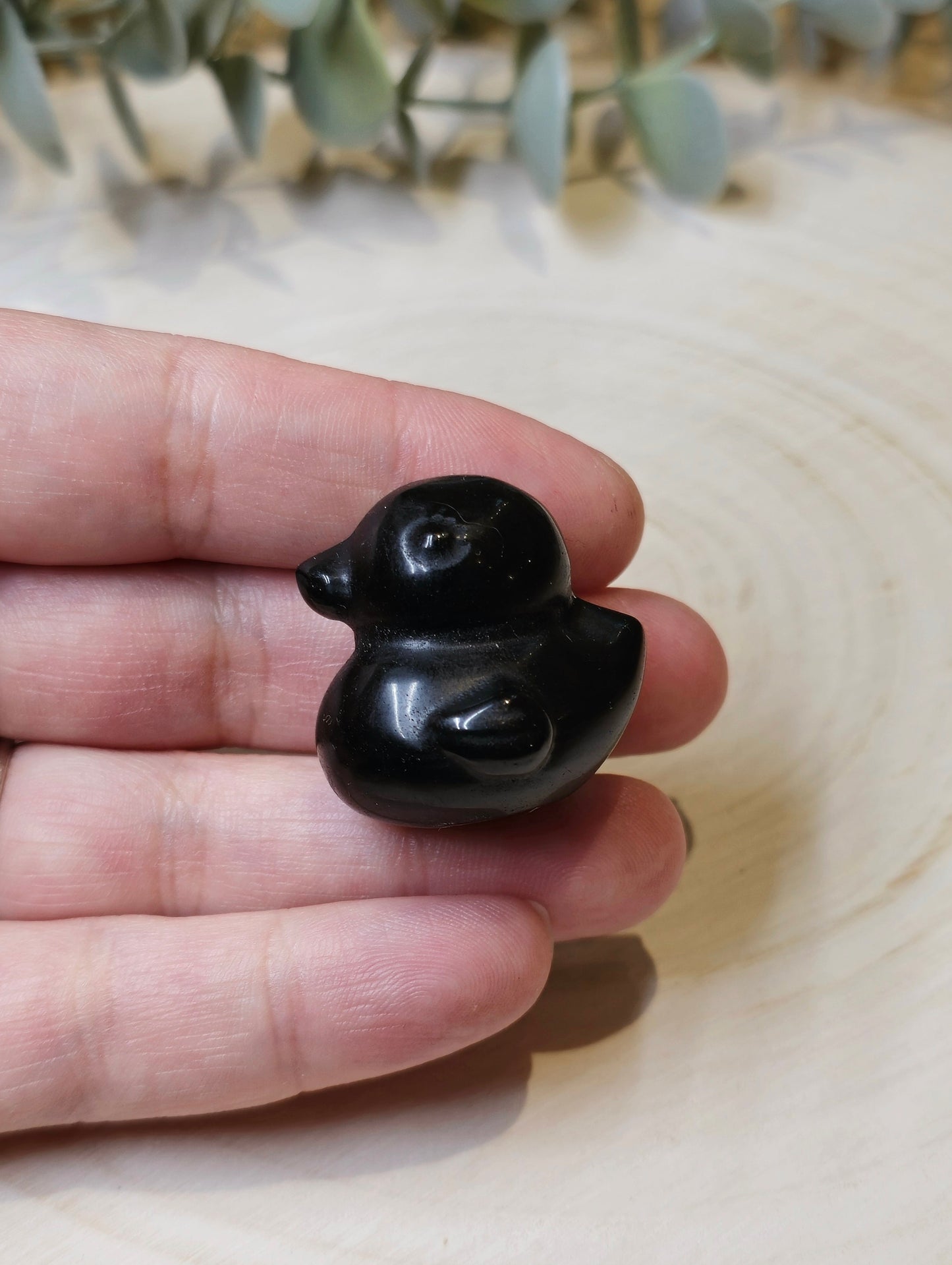Canard Obsidienne