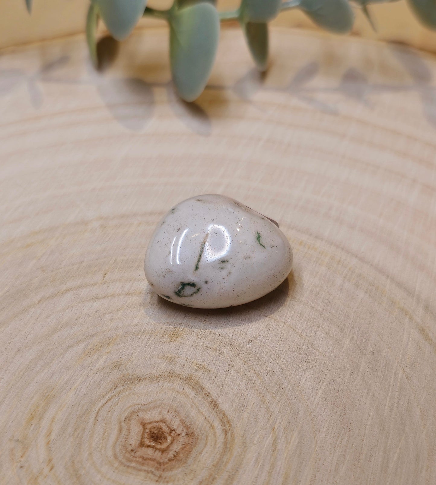 Agate arbre barattée
