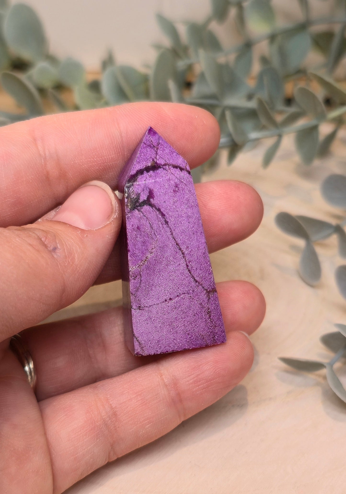 Pointe en Stitchtite