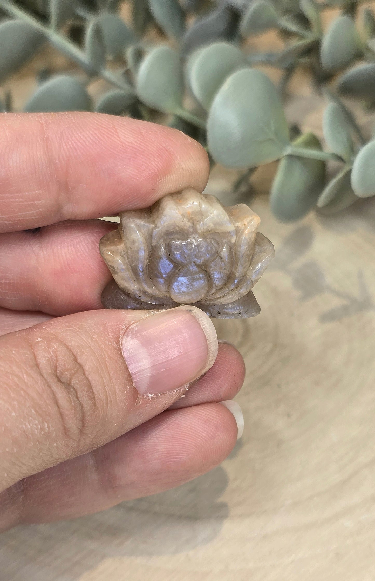 Lotus en Pierre de lune pêche