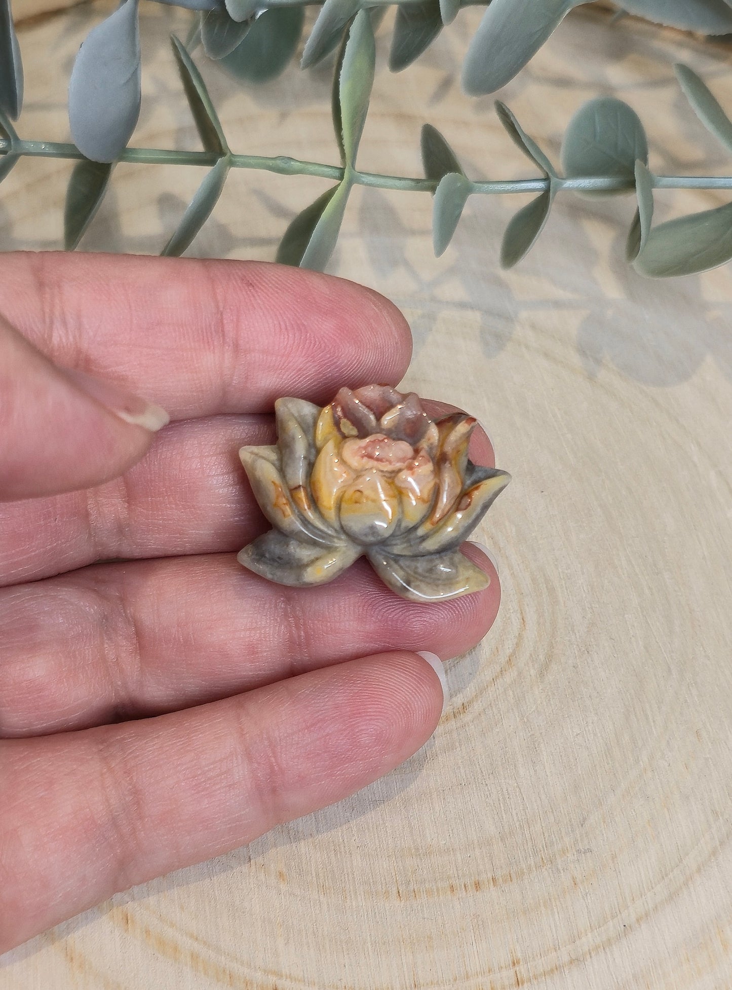 Lotus en Agate fou (crazy lace)