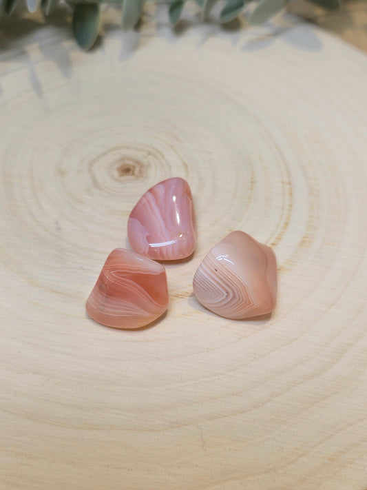 Agate abricot barattée