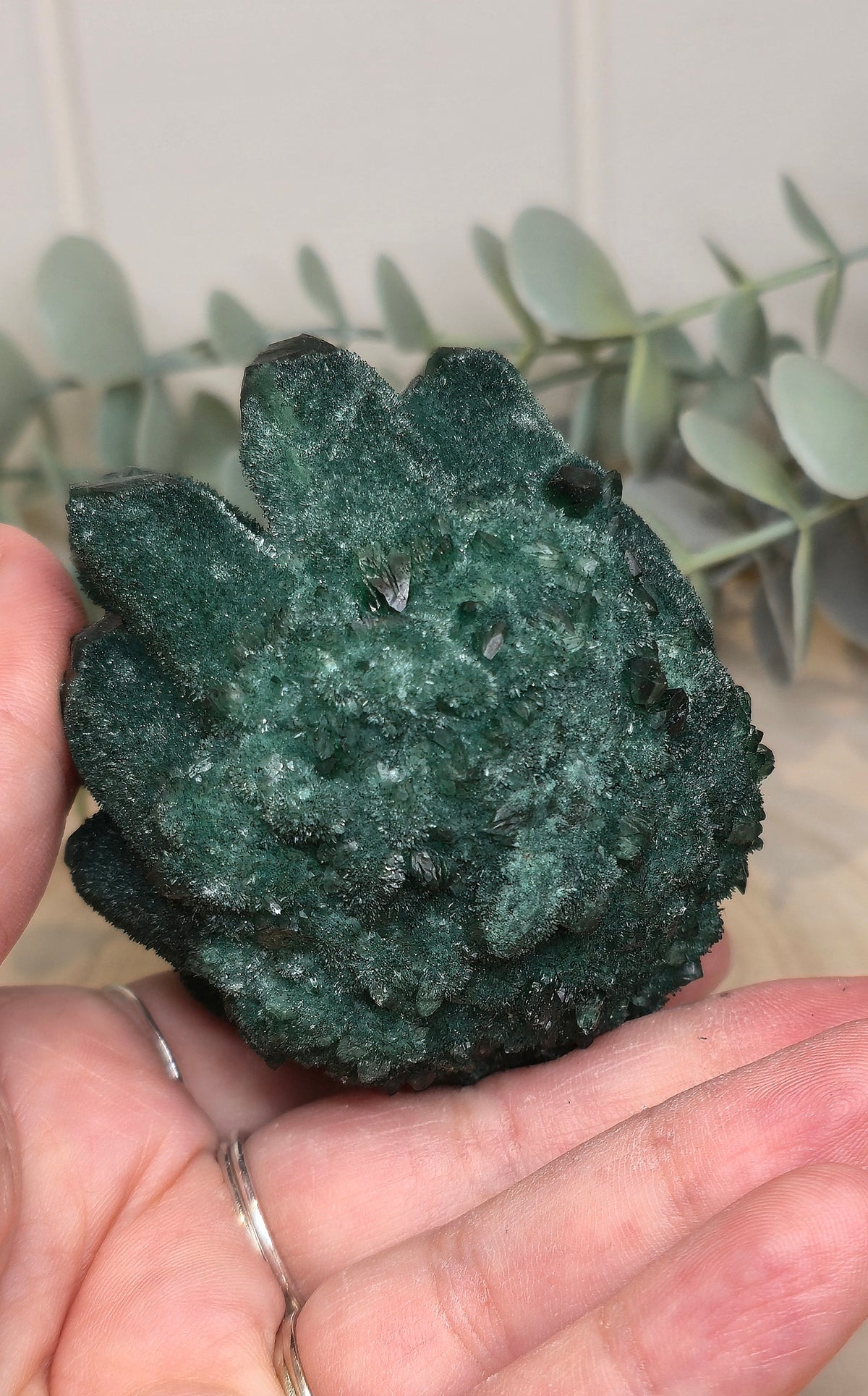 Quartz Chromium vert brute