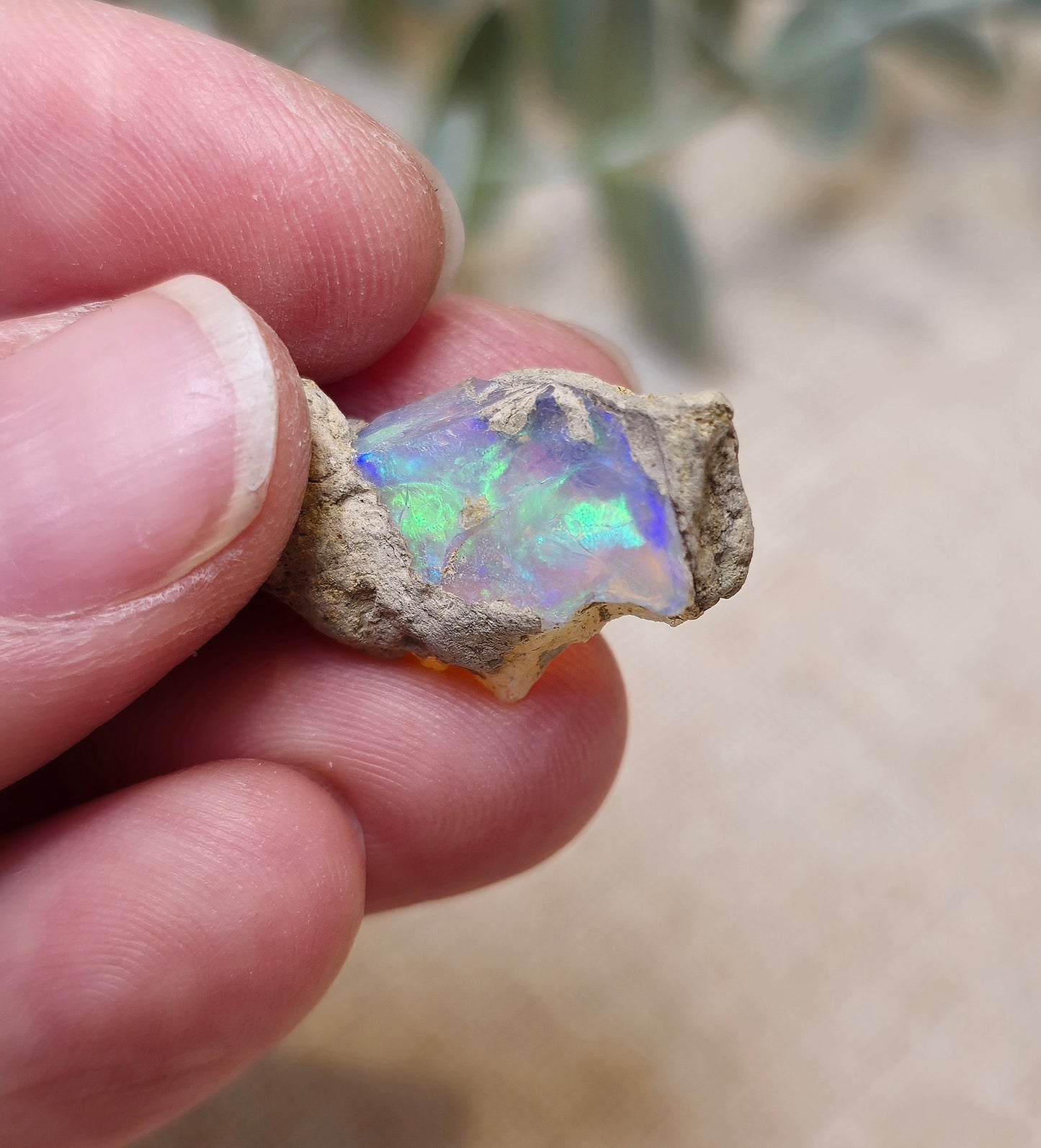 Opale d’Éthiopie brute