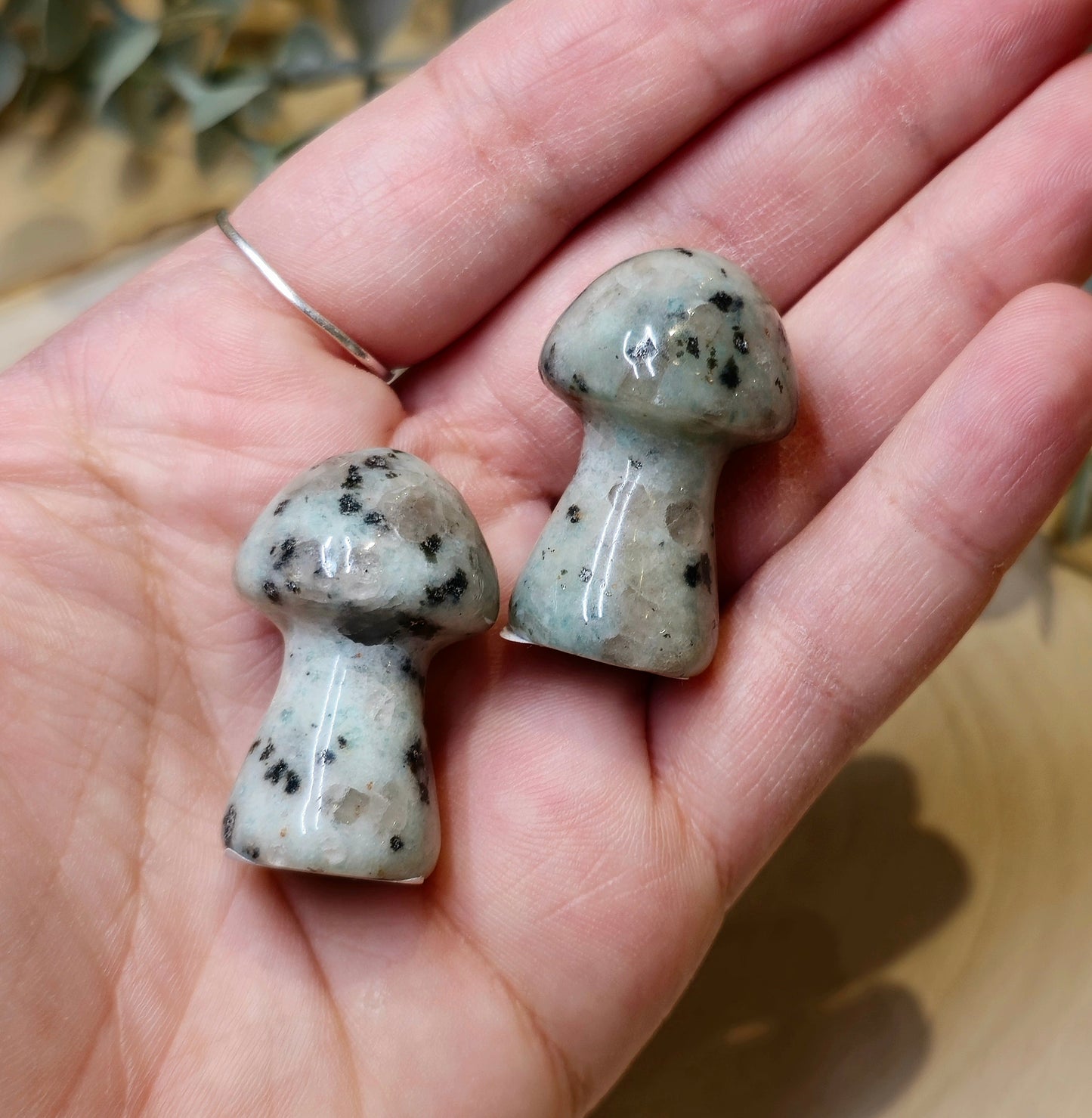 Champignon Jaspe Kiwi