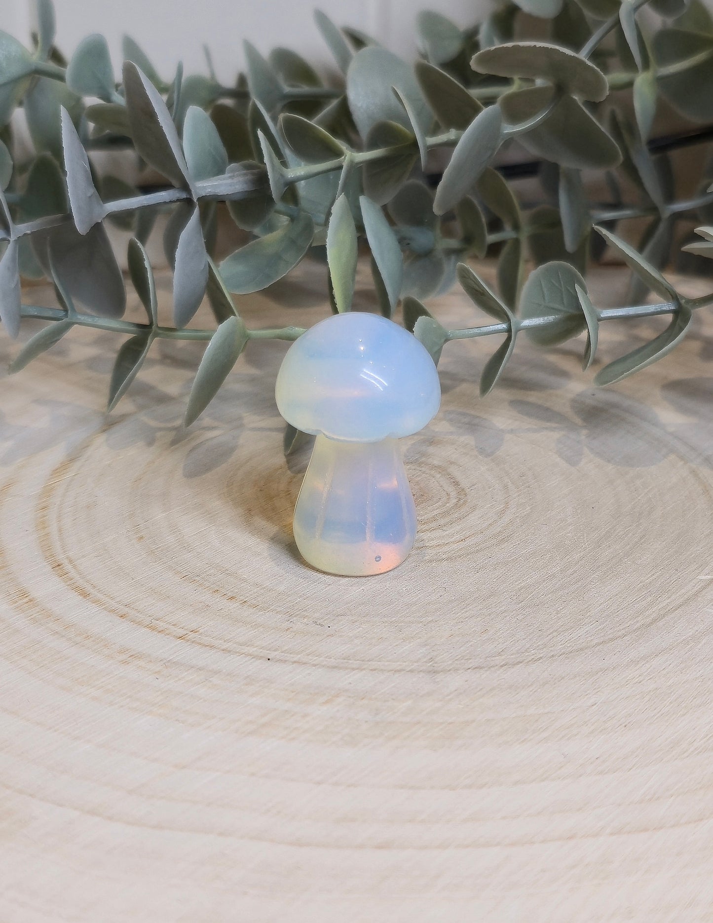 Champignon Opalite