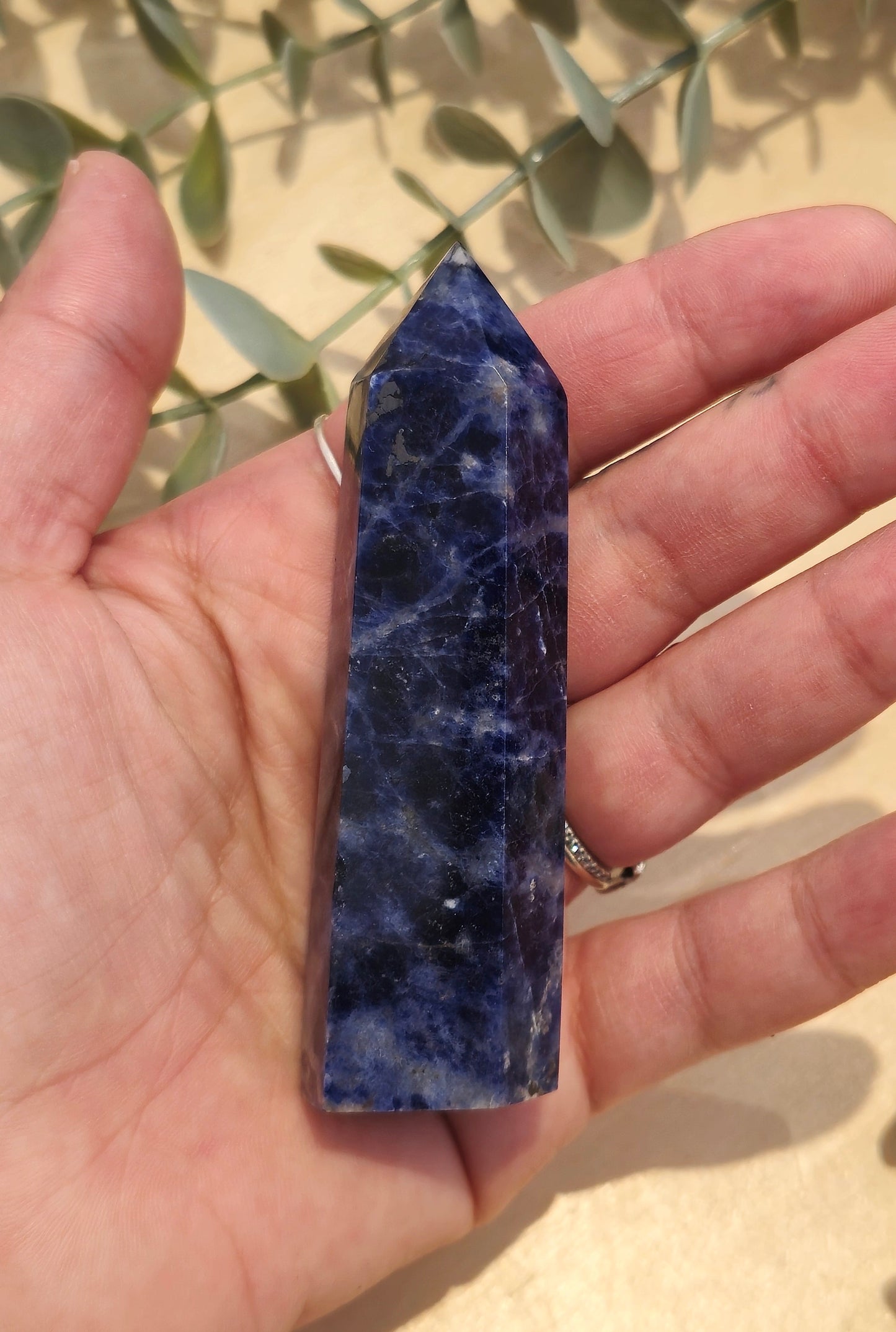 Pointe Sodalite