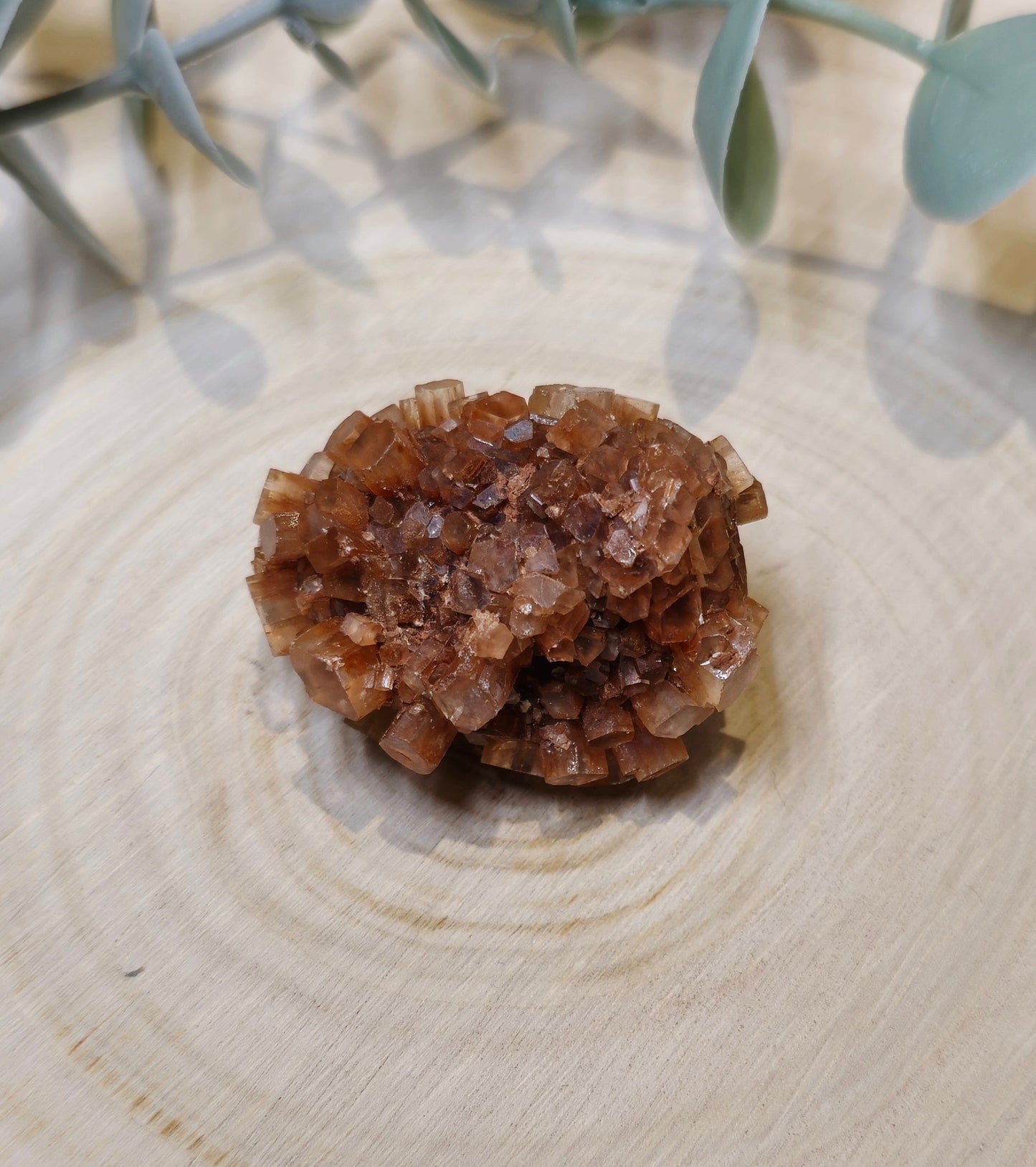 Aragonite brute