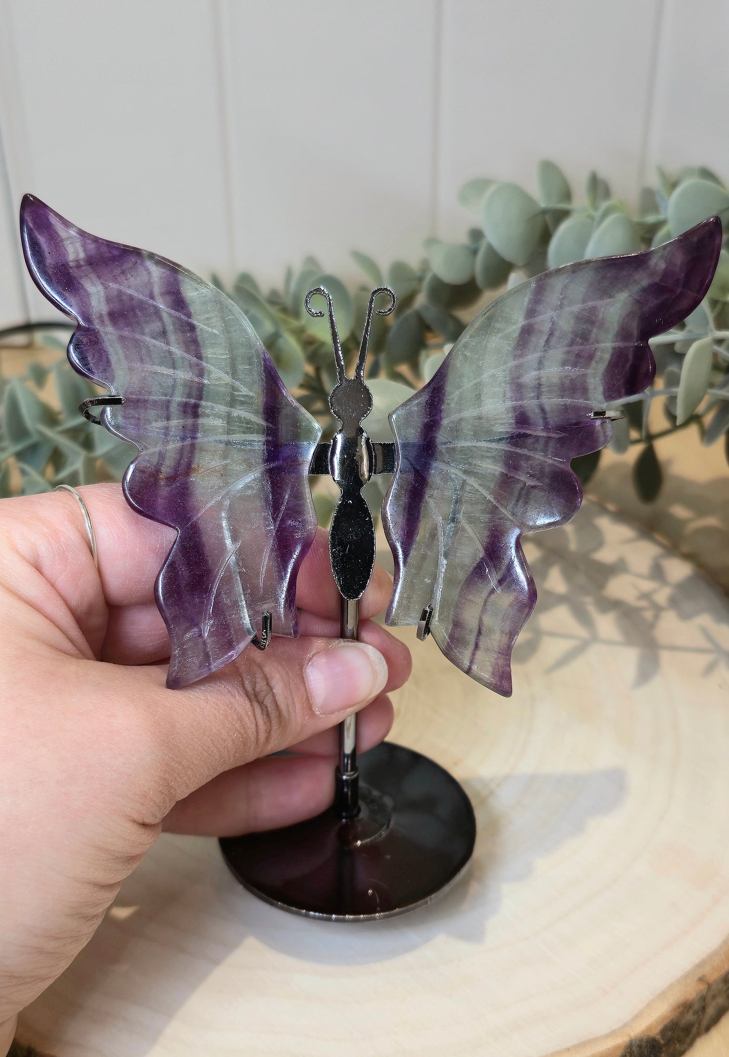 Papillon Fluorite