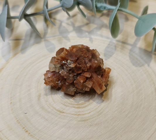Aragonite brute