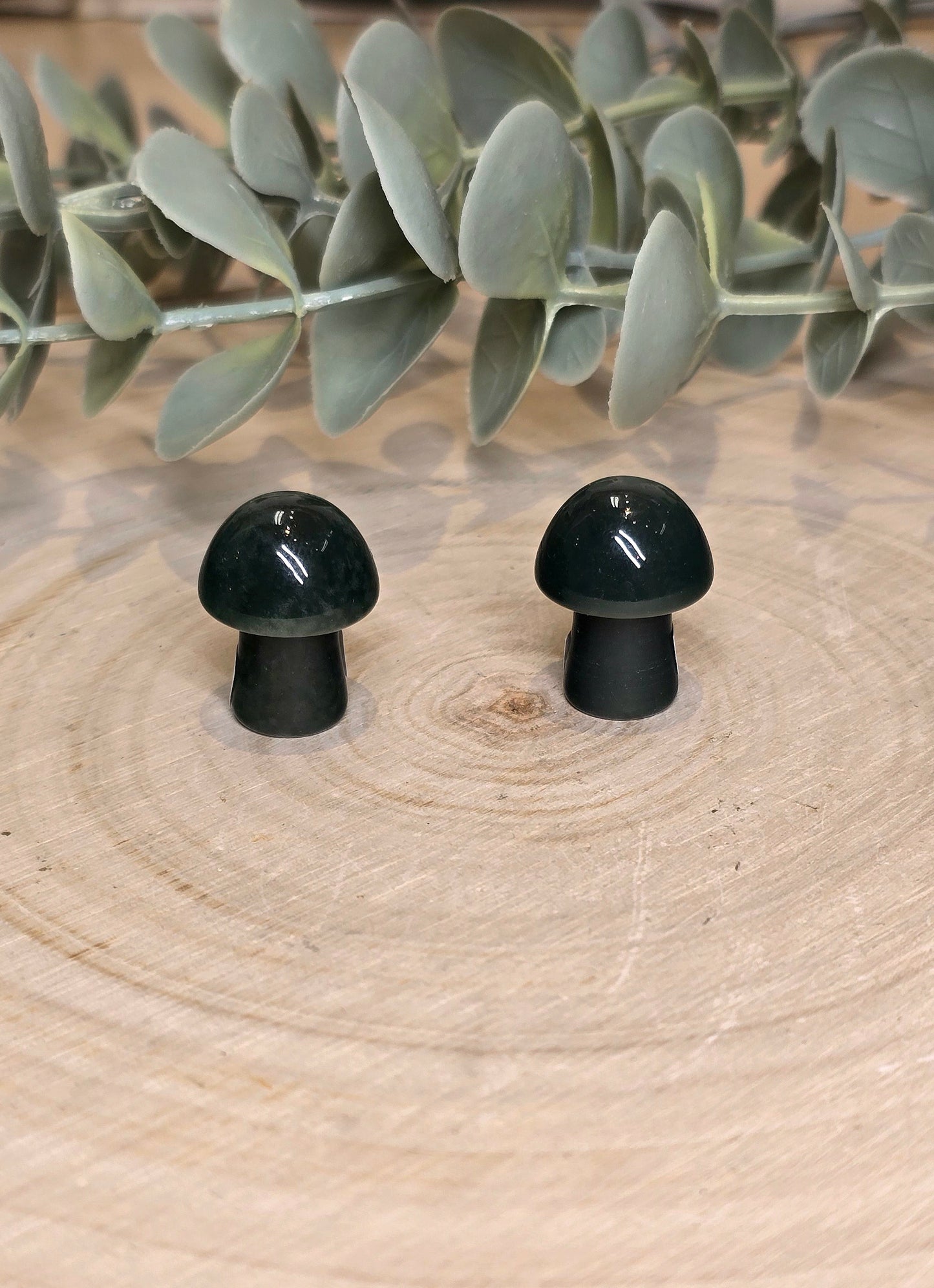 Champignon en Jaspe fantaisie