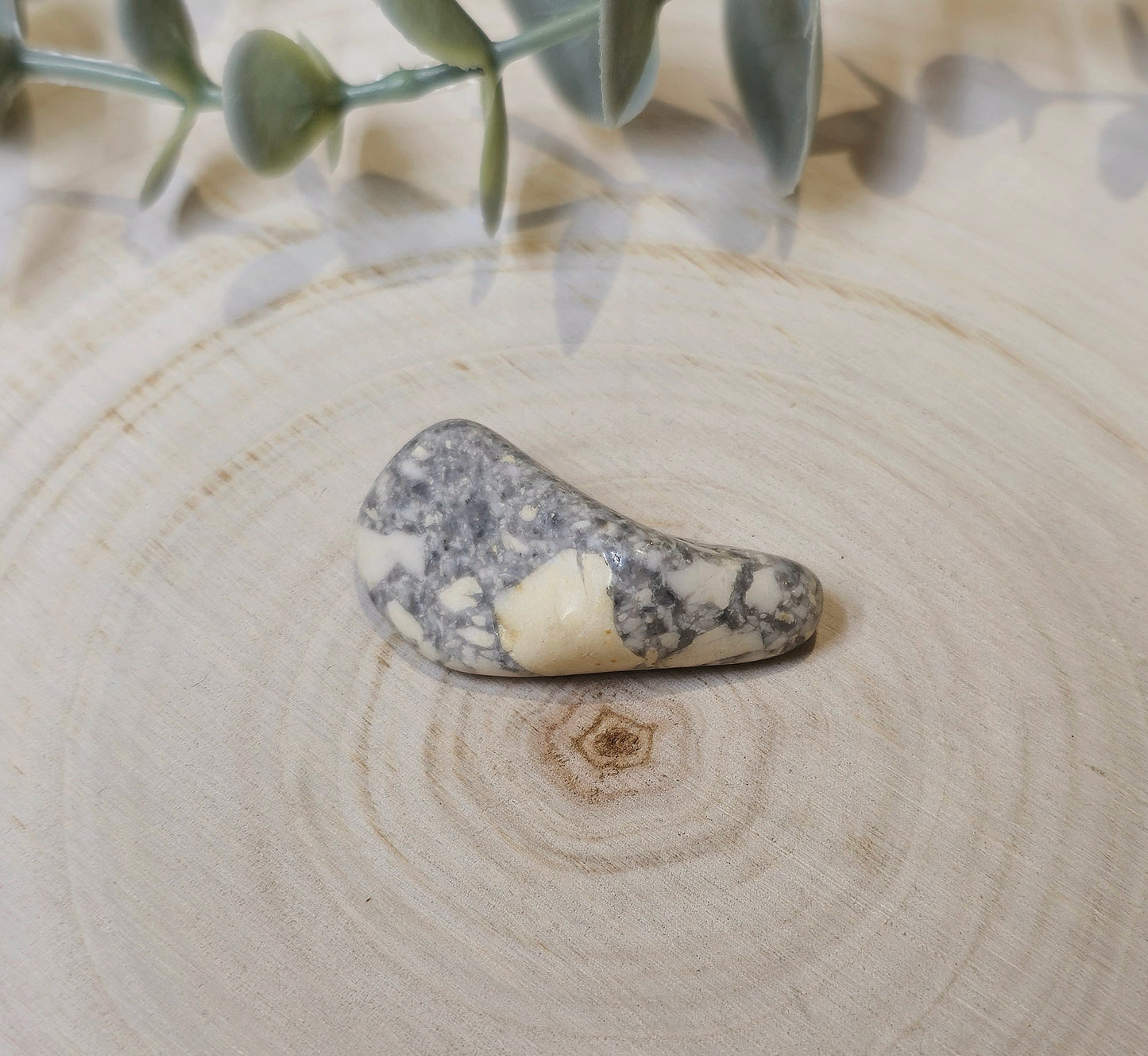 Jaspe Maligano barattée