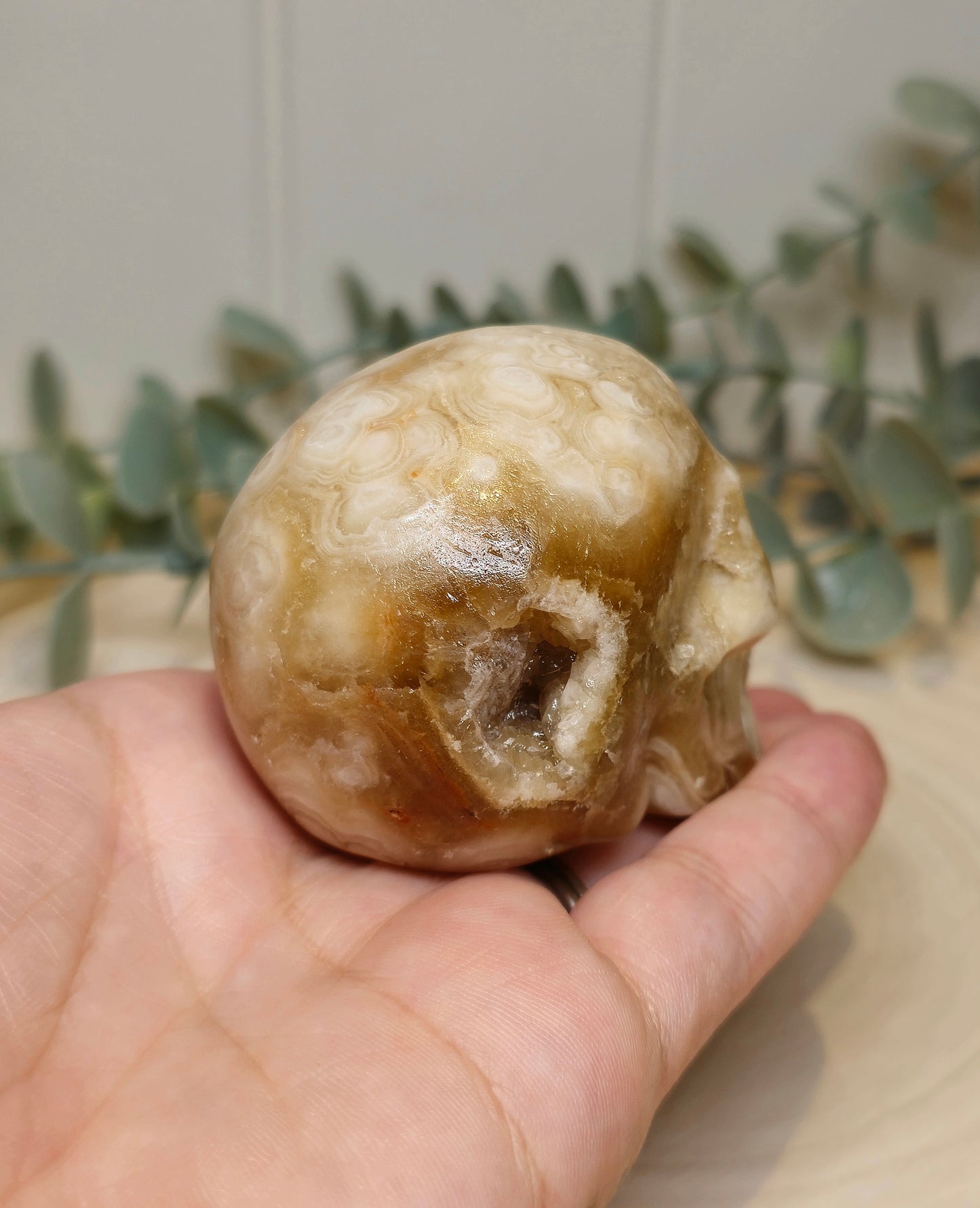 Crâne Agate Fleur ambrée
