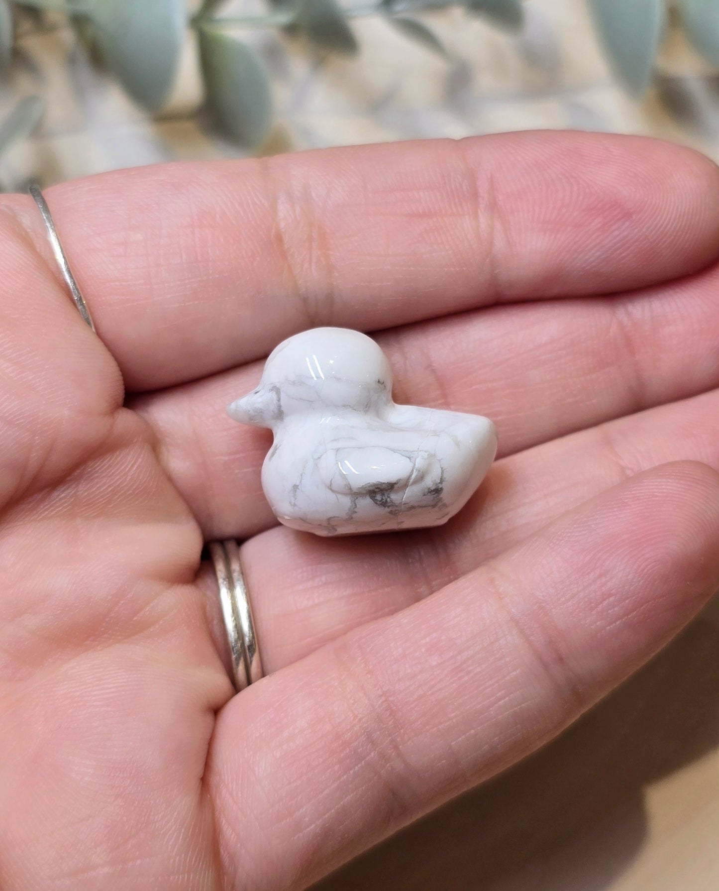 Canard Howlite