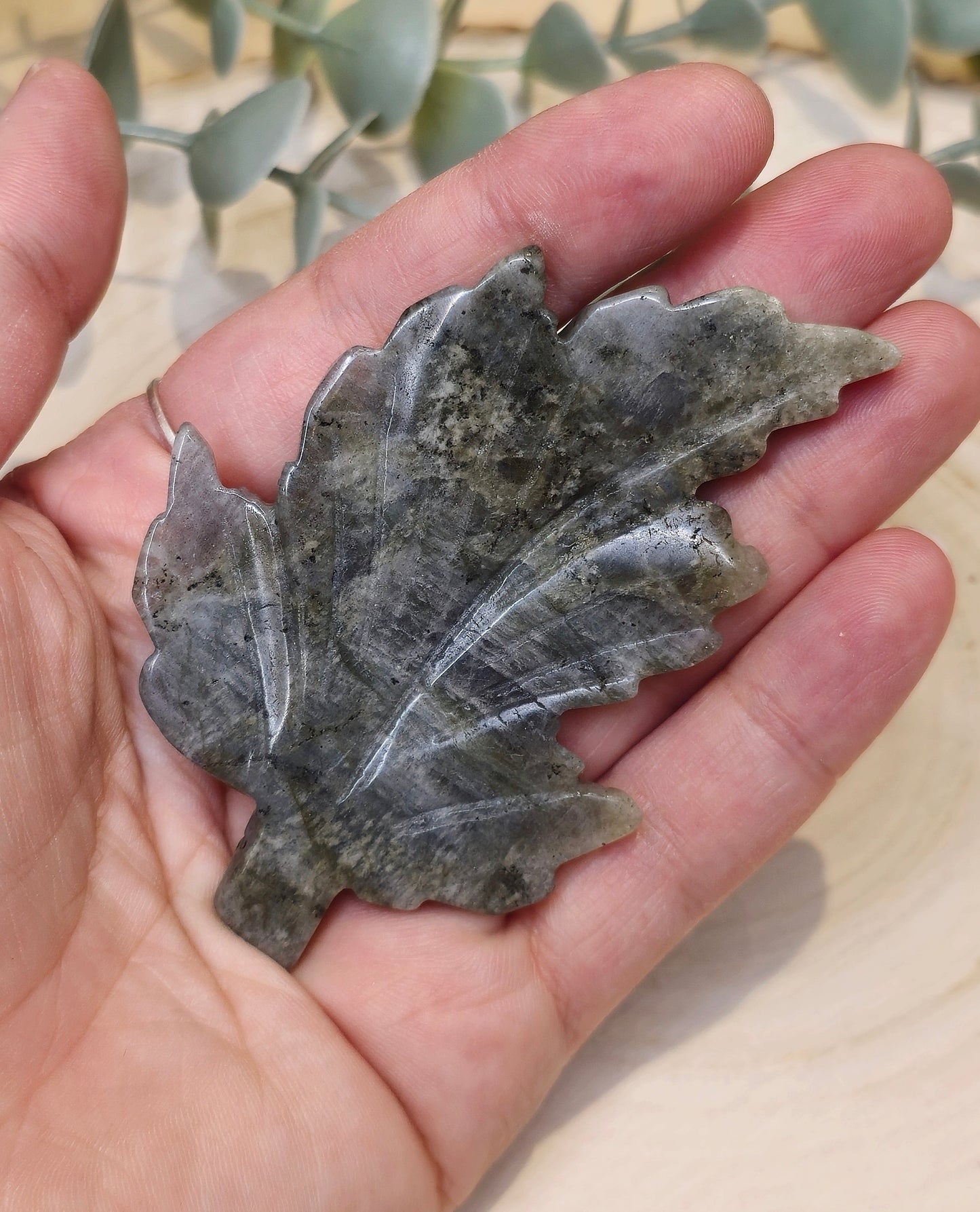 Feuille Labradorite