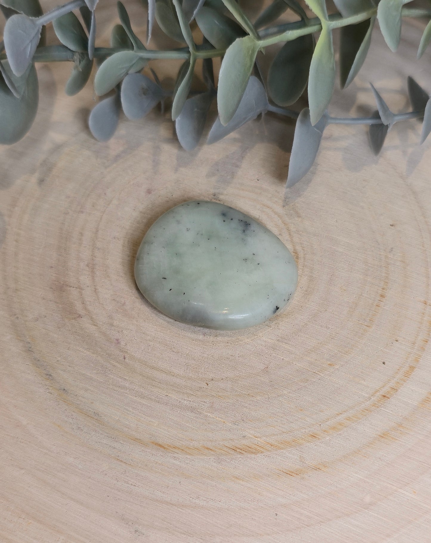 Pierre de paume mince Agate dendritique