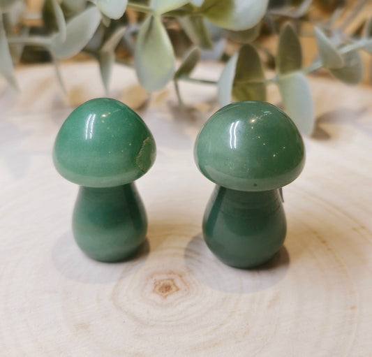 Champignon Aventurine verte