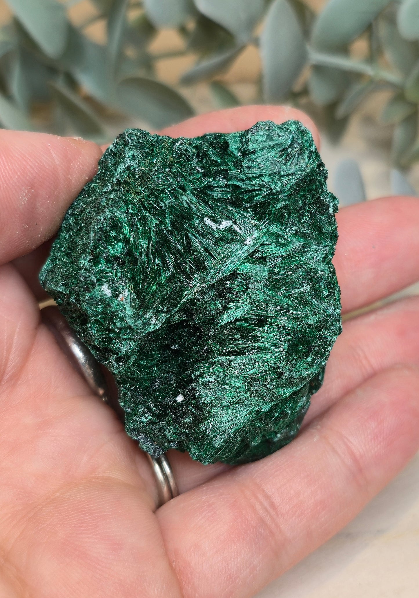 Malachite velour brute de l'Afrique