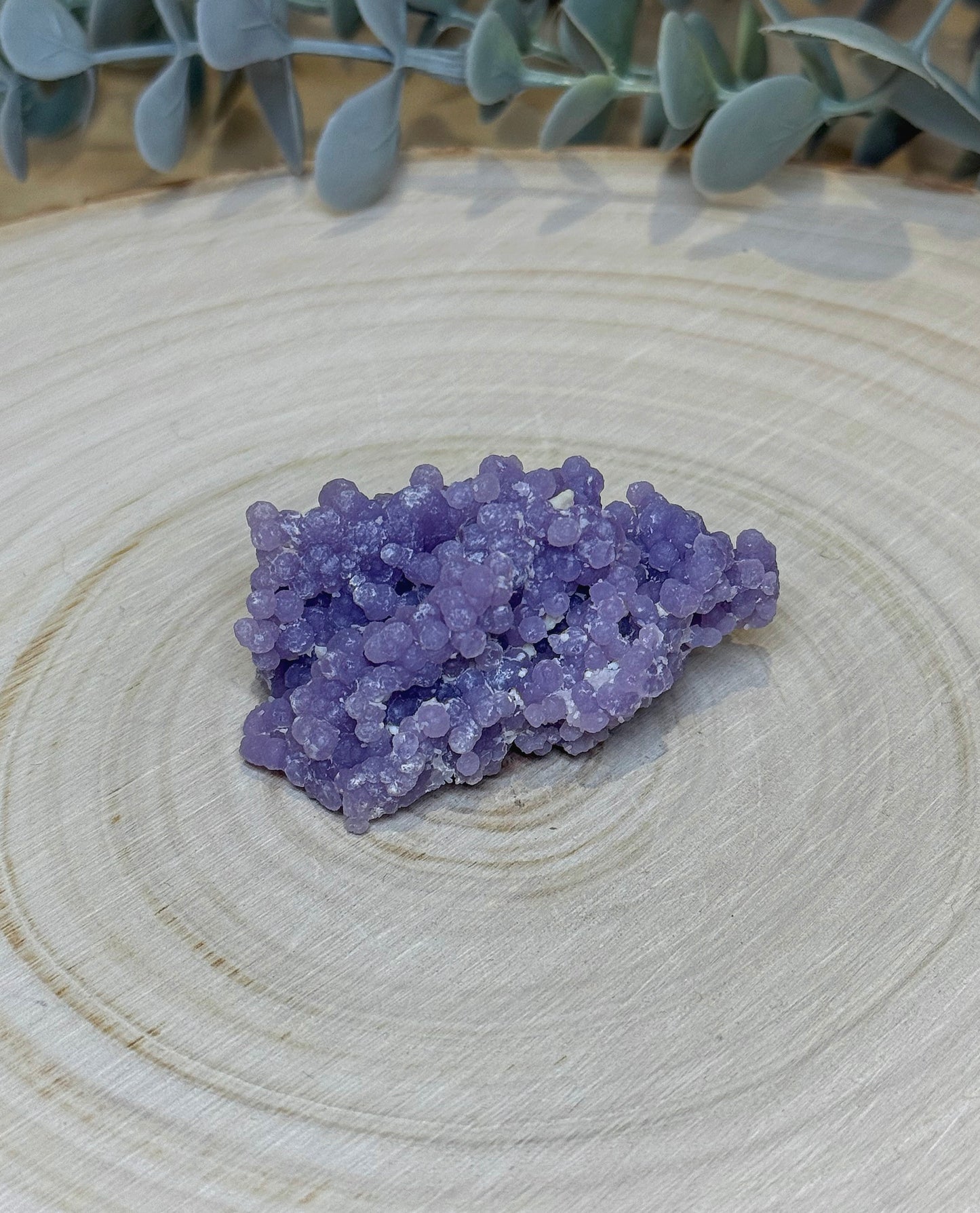 Agate raisin brute
