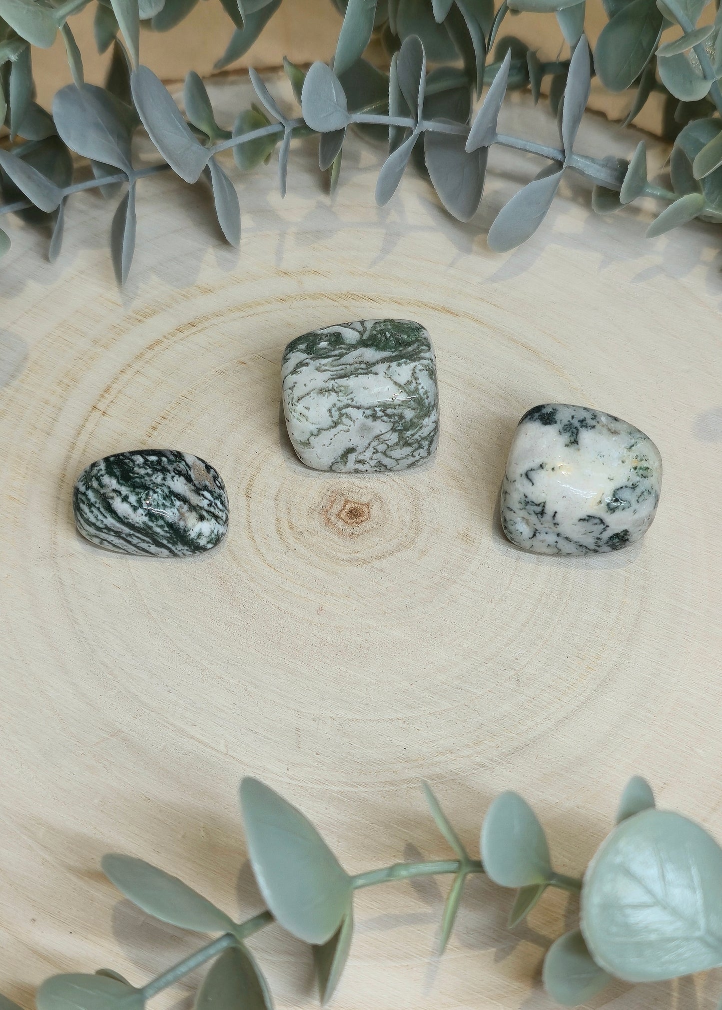 Agate arbre barattée