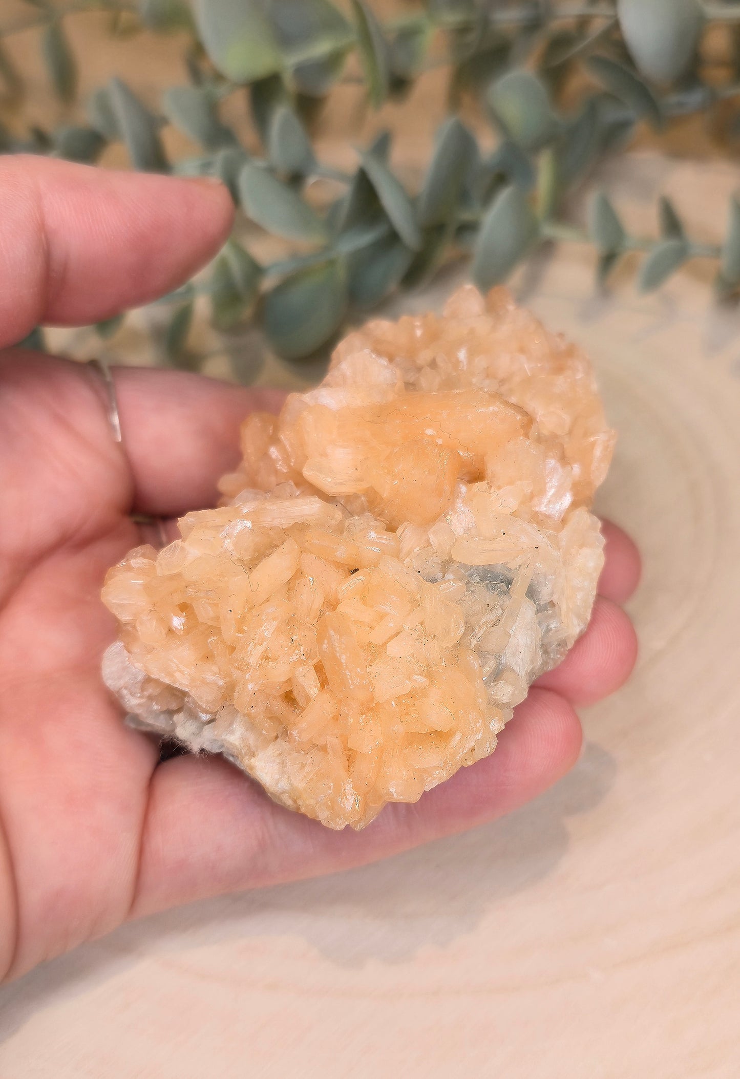 Stilbite brute d’Inde