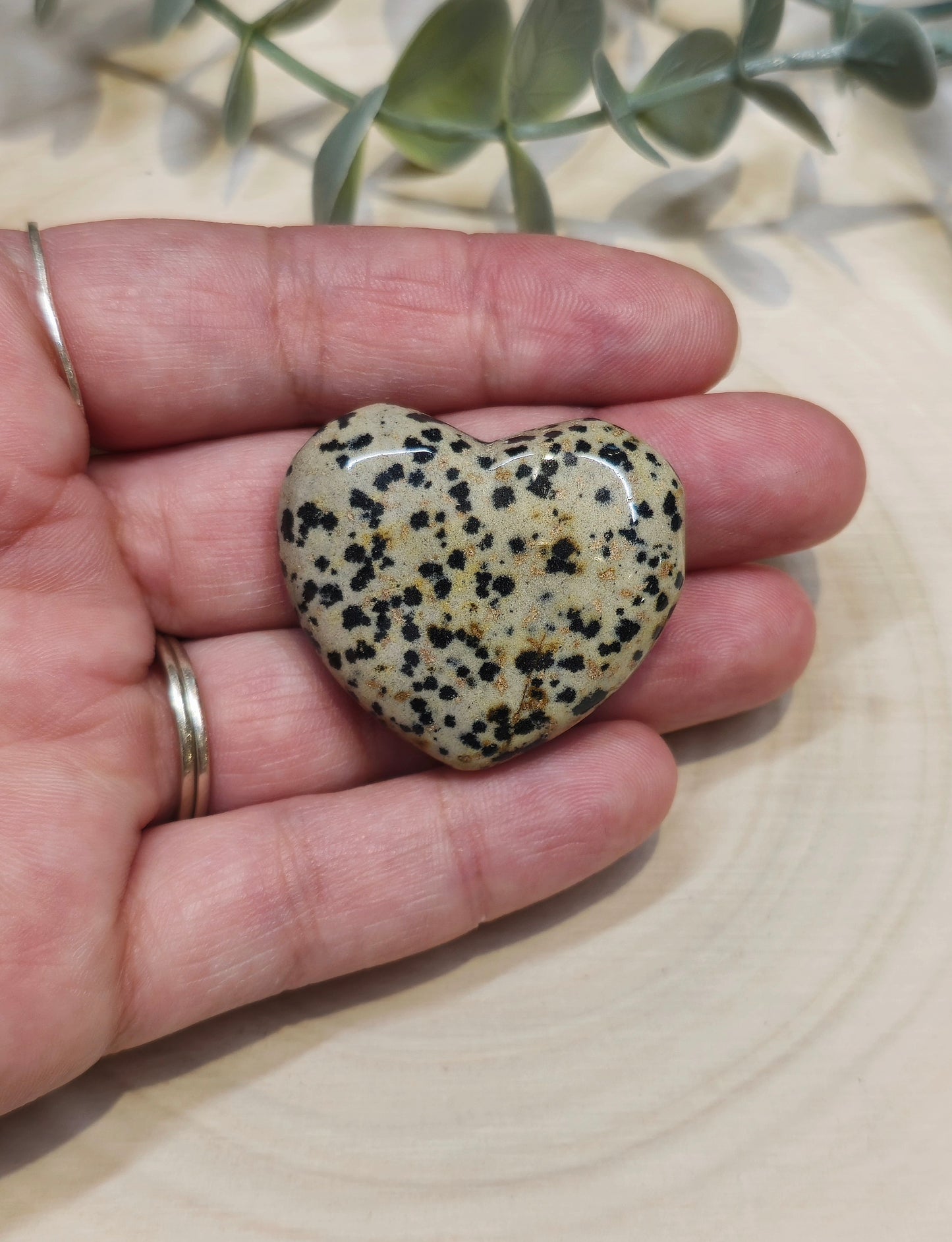 Coeur en Jaspe dalmatien