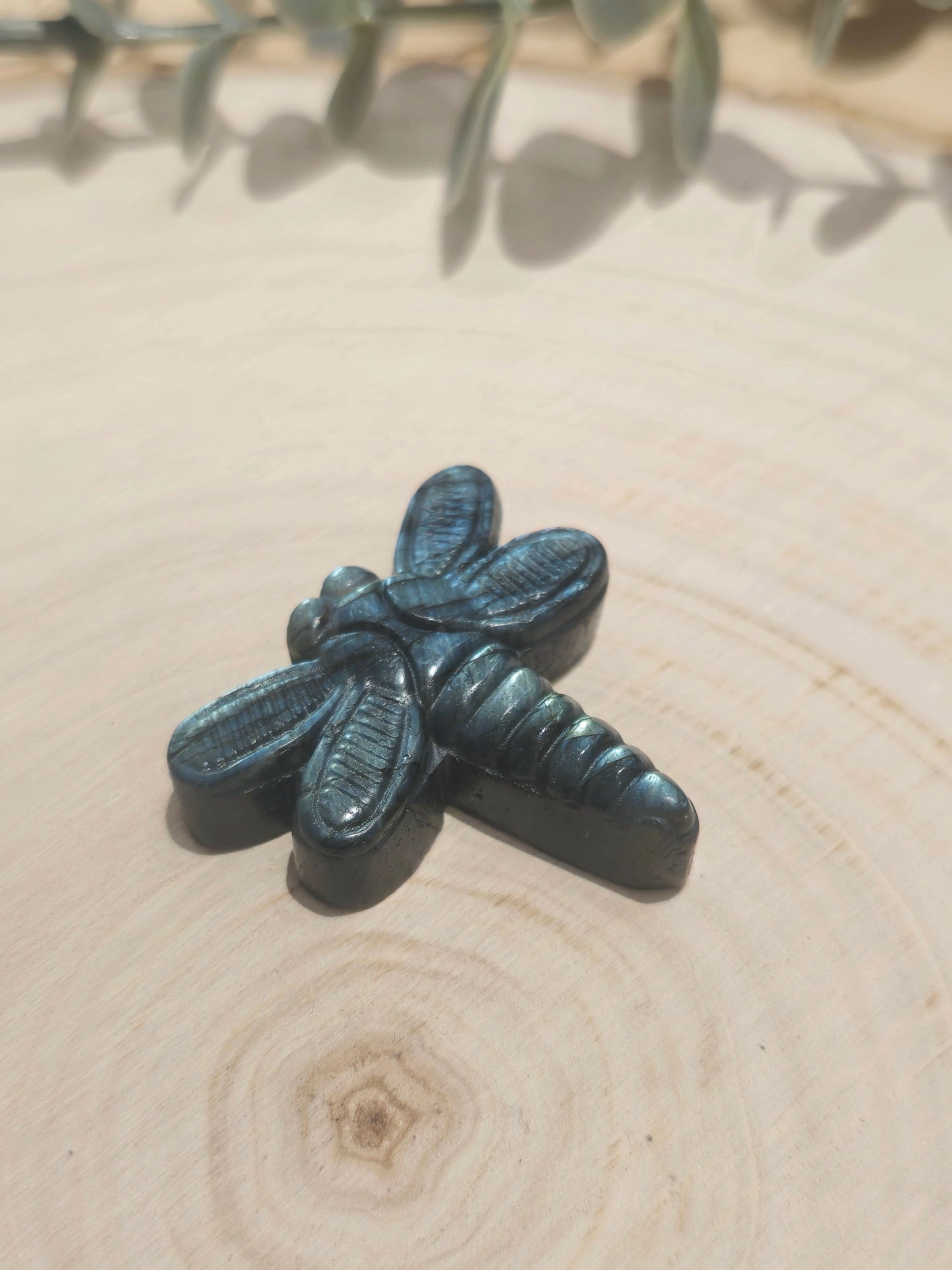 Libellule en Labradorite