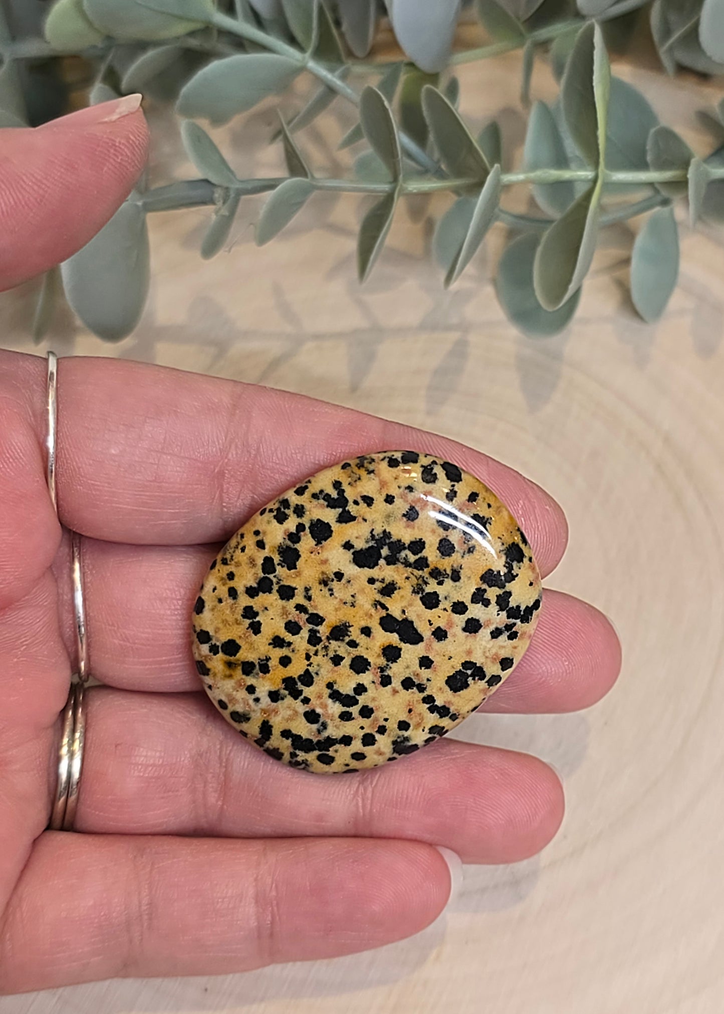 Pierre de paume mince Jaspe Dalmatien