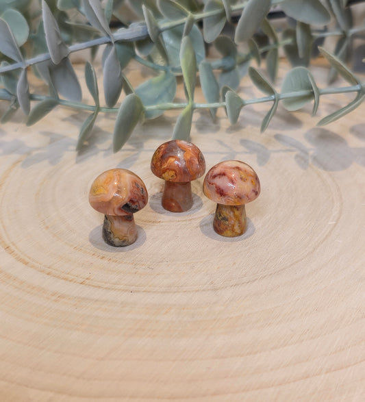 Champignon en Agate fou (crazy lace)