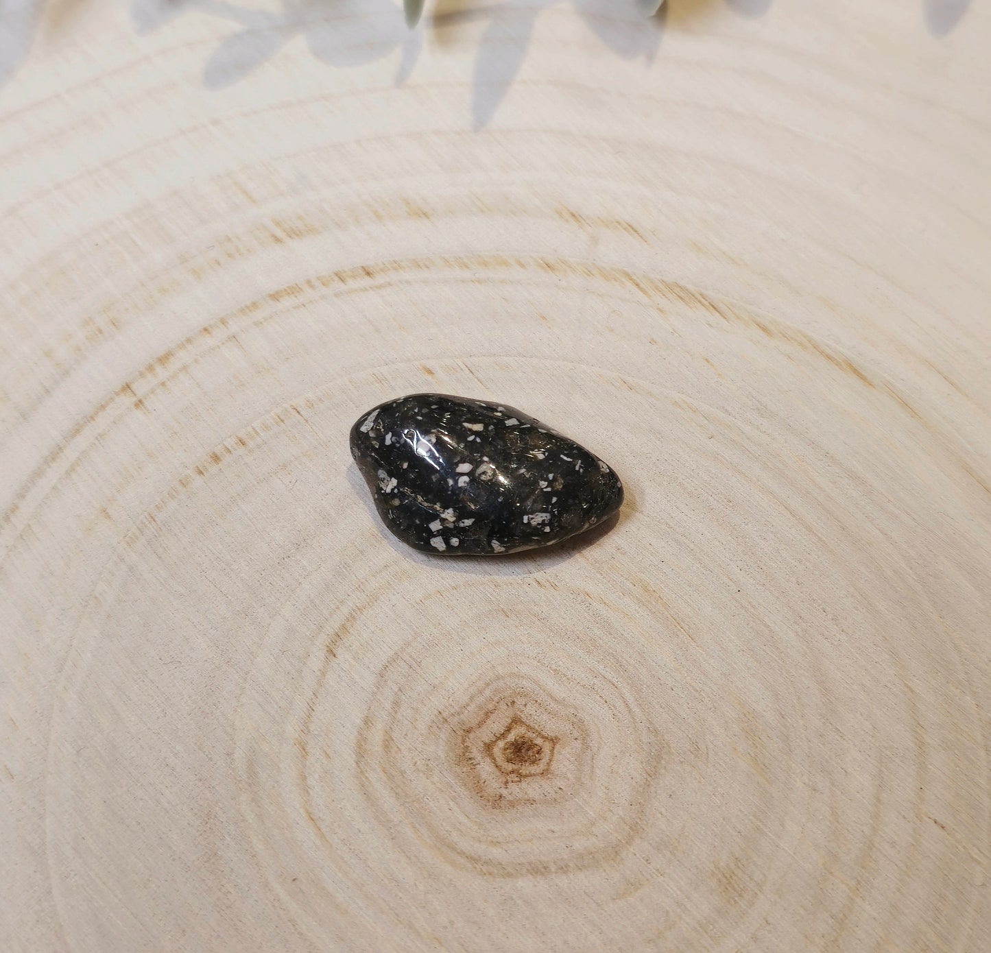 Jaspe Pintade barattée