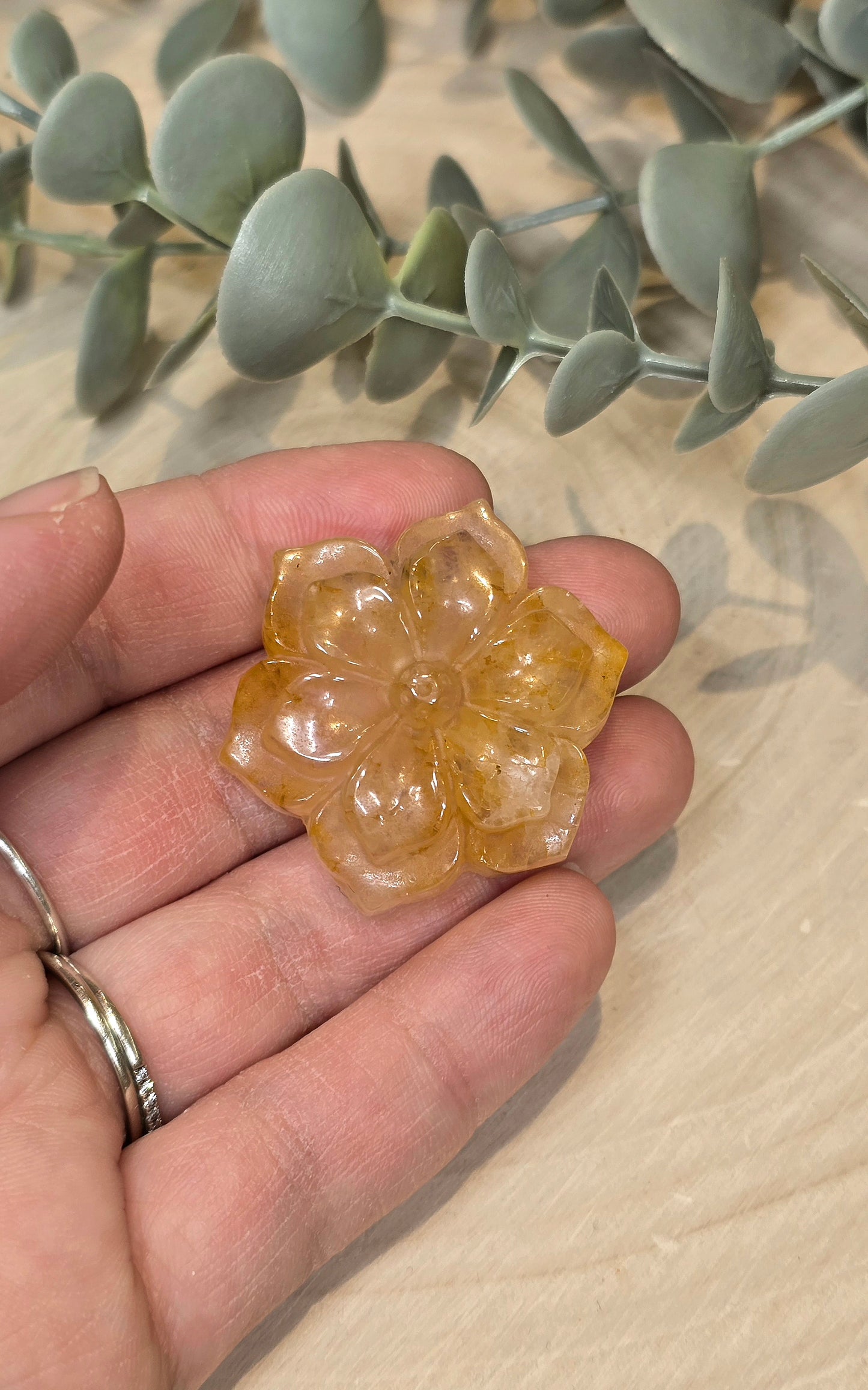 Fleur en Golden Healer