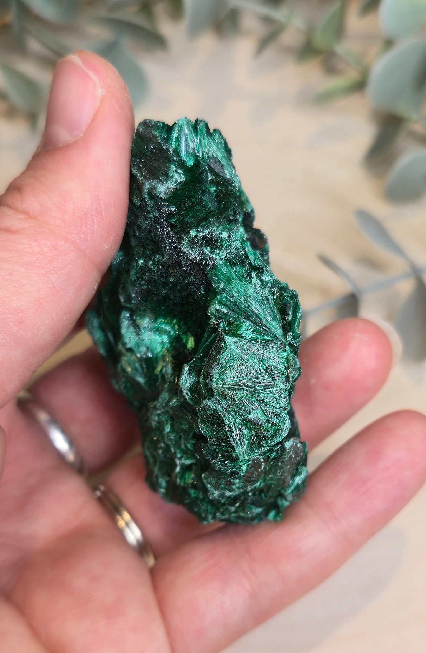 Malachite velour brute de l'Afrique