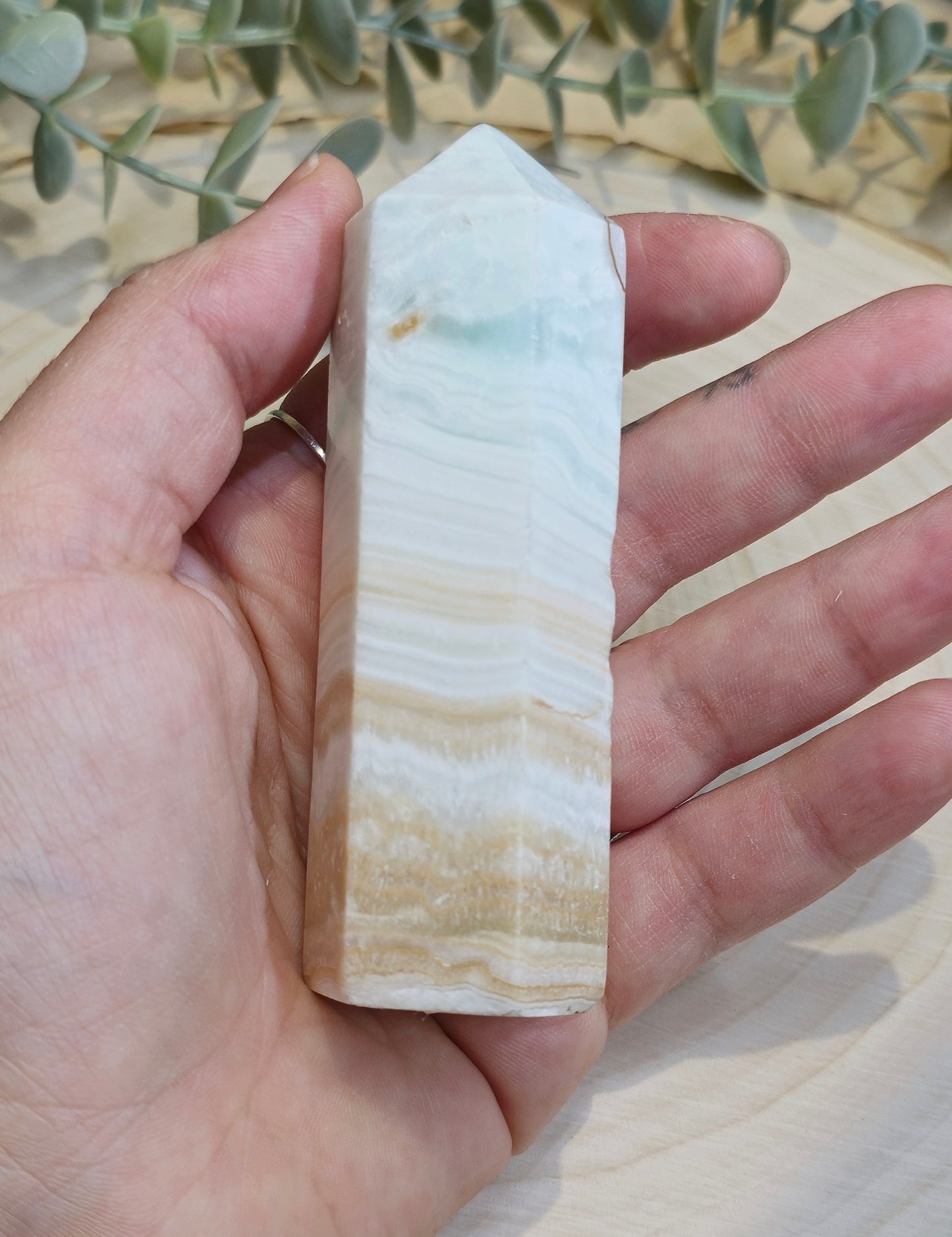 Pointe en Calcite des Caraïbes