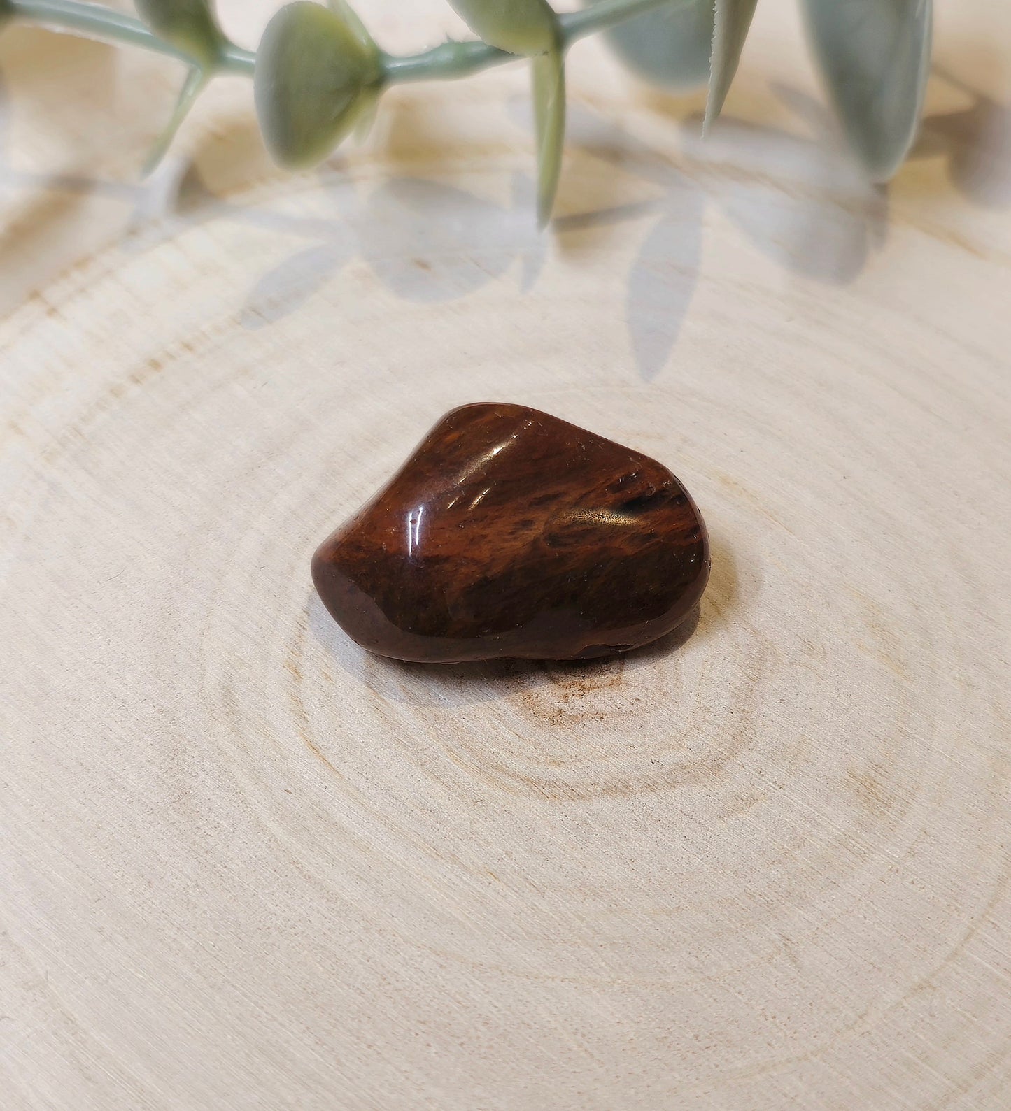 Bois fossile barattée