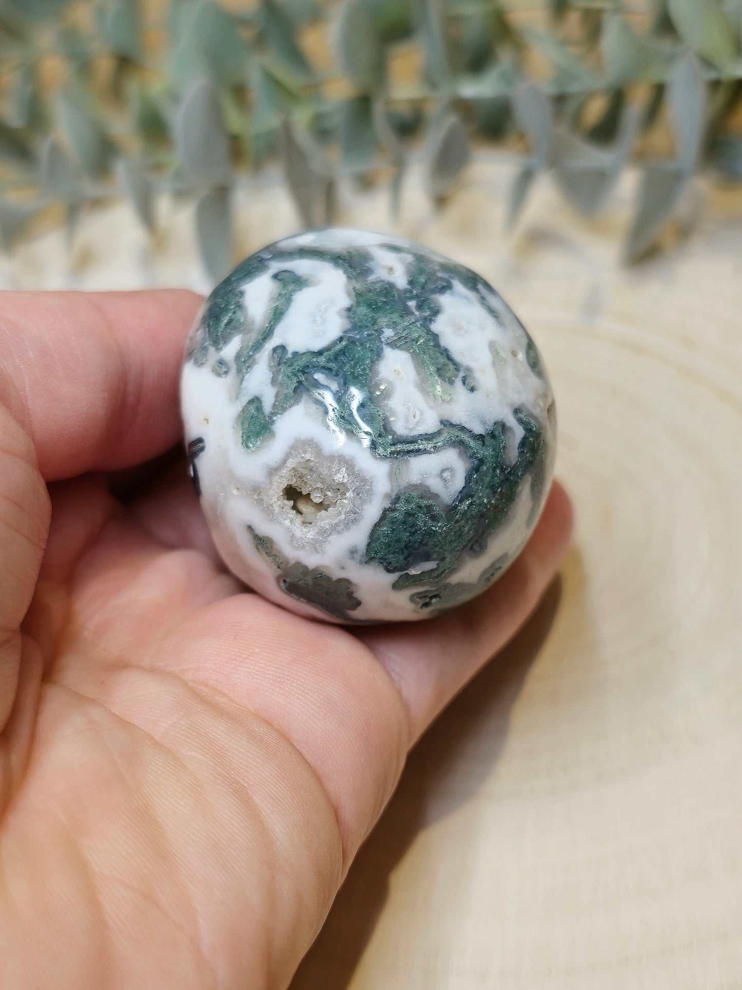 Crâne Agate mousse