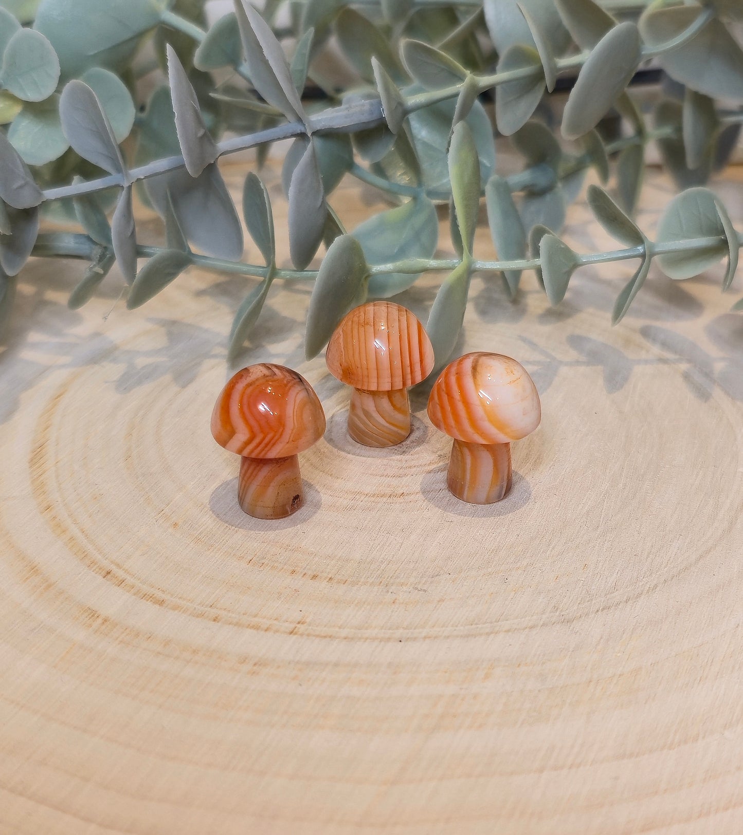 Champignon en Sardonyx