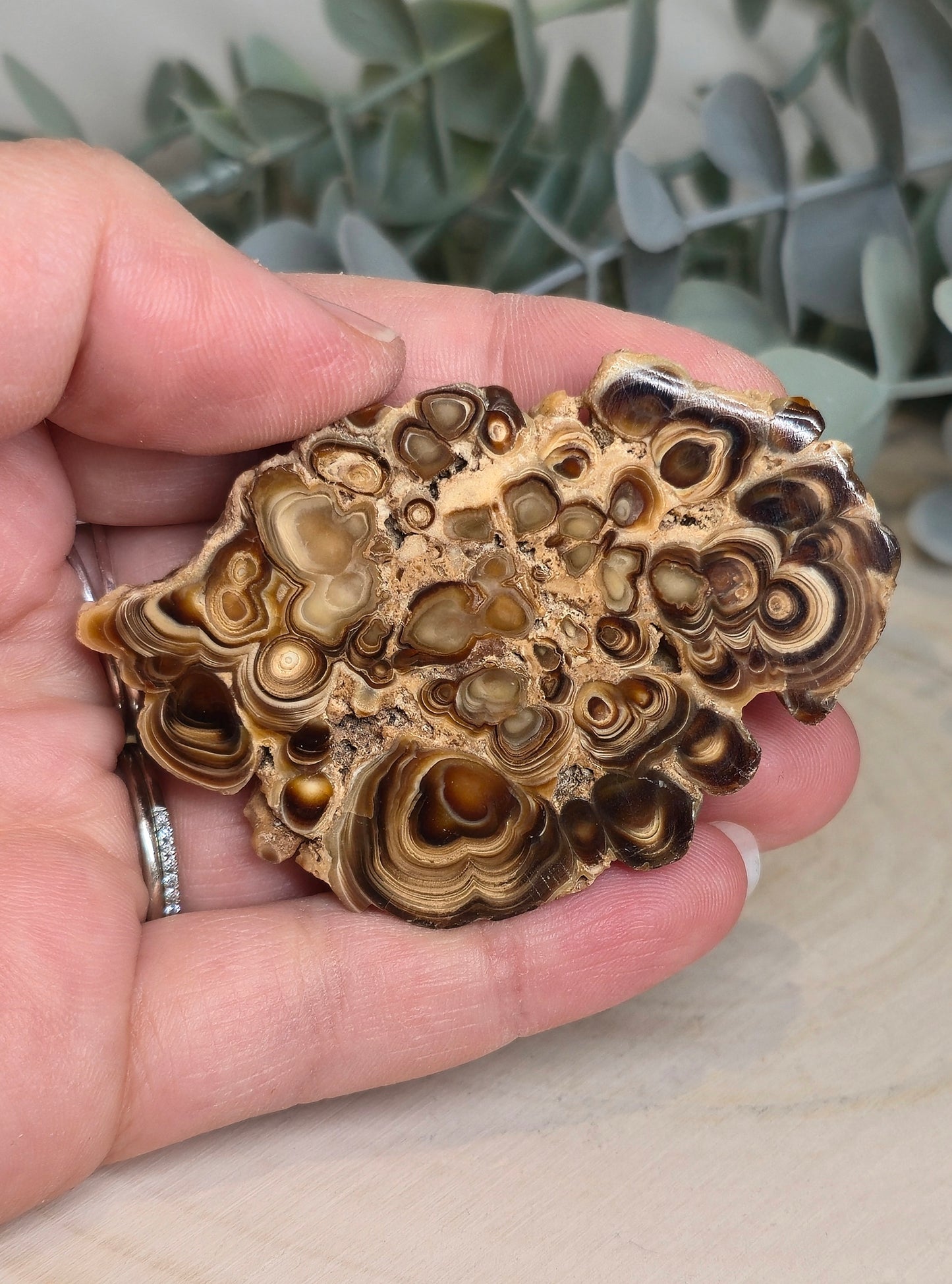 Tranche de Stalactite Aragonite