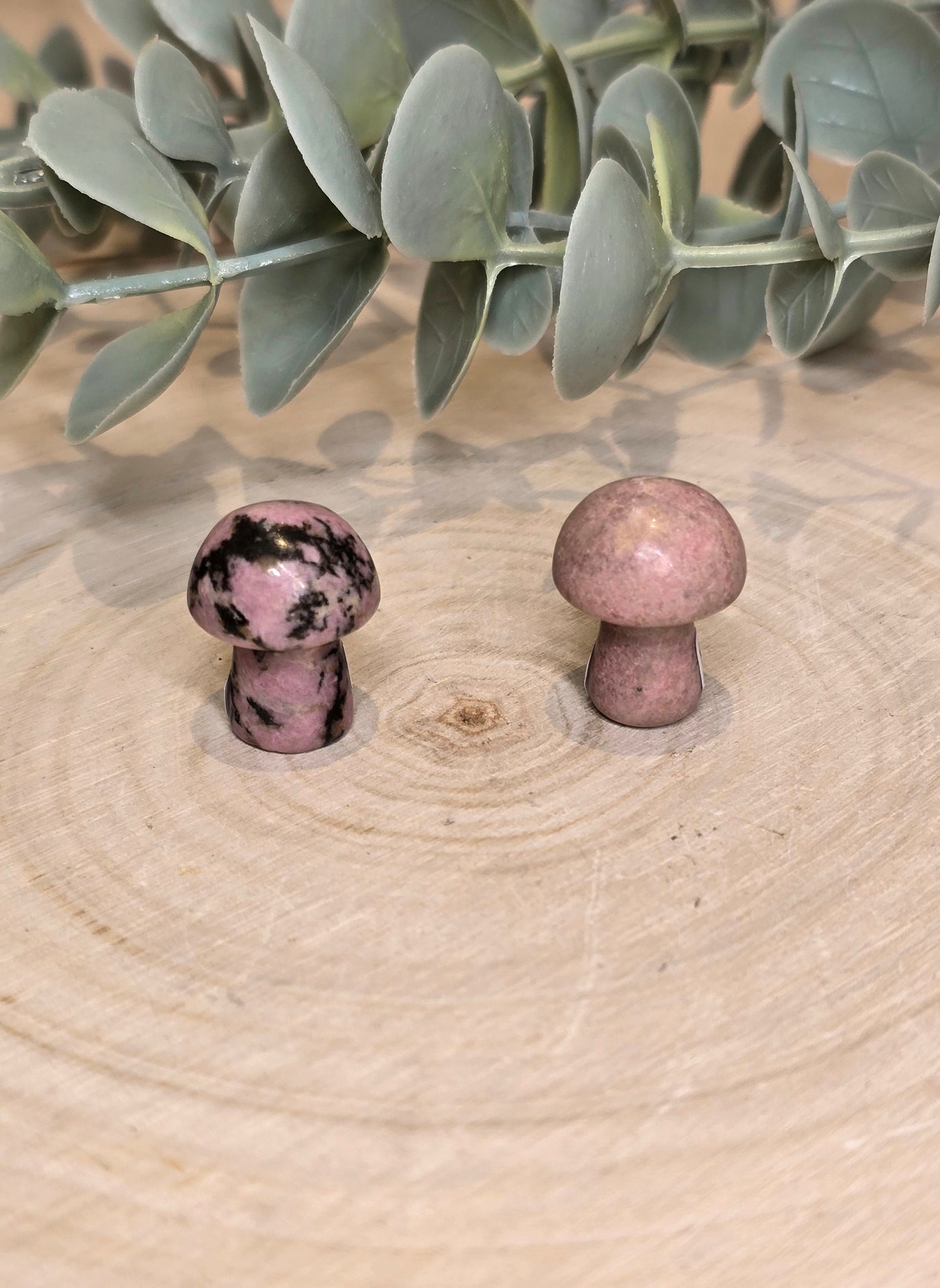 Champignon en Rhodonite