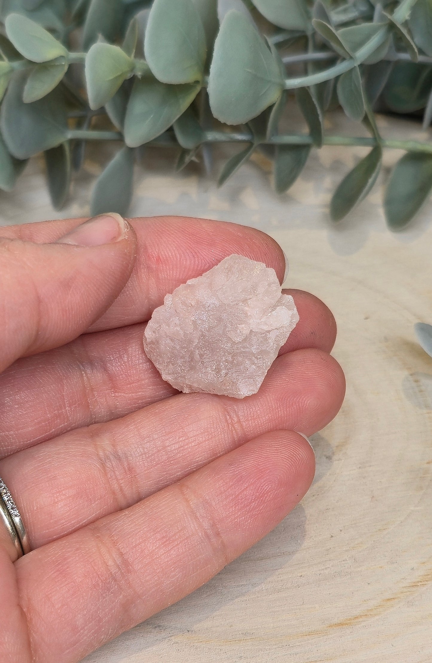 Quartz Nirvana brute