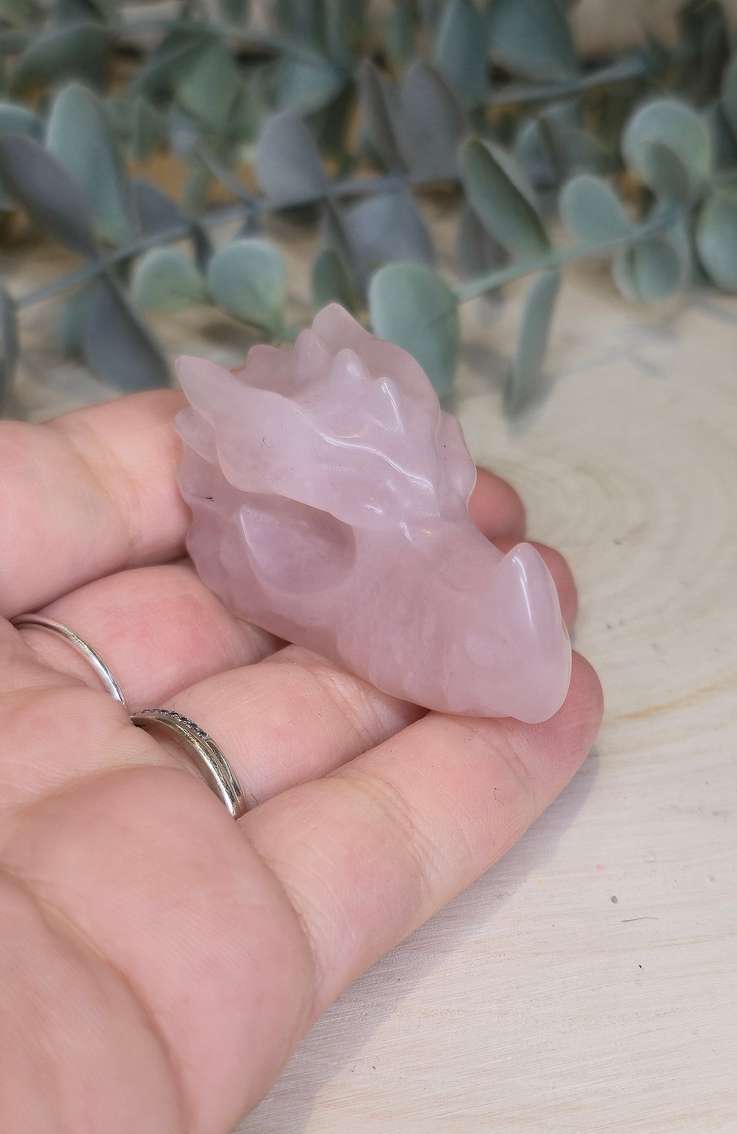 Dragon Quartz rose