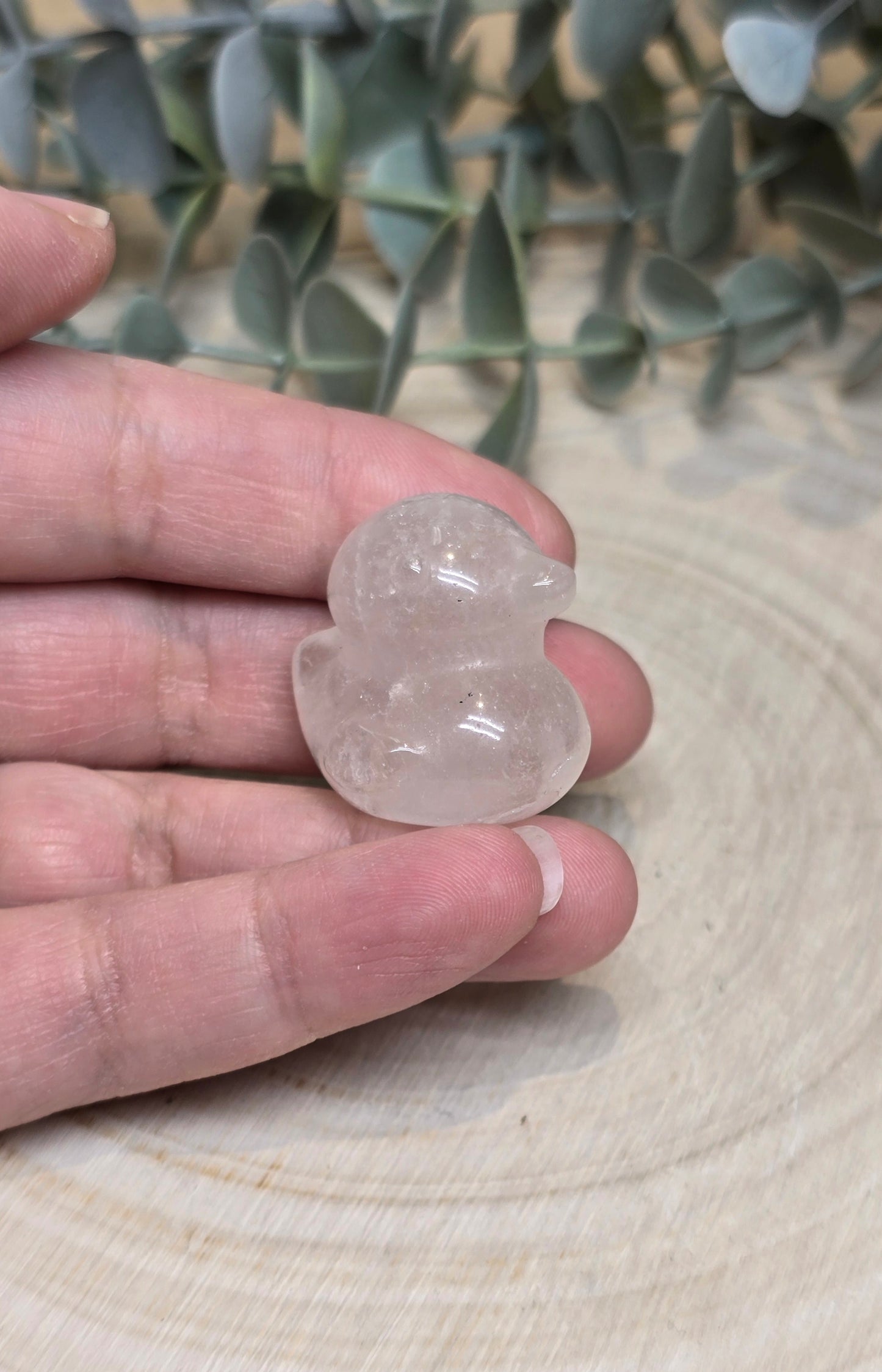 Canard Quartz clair