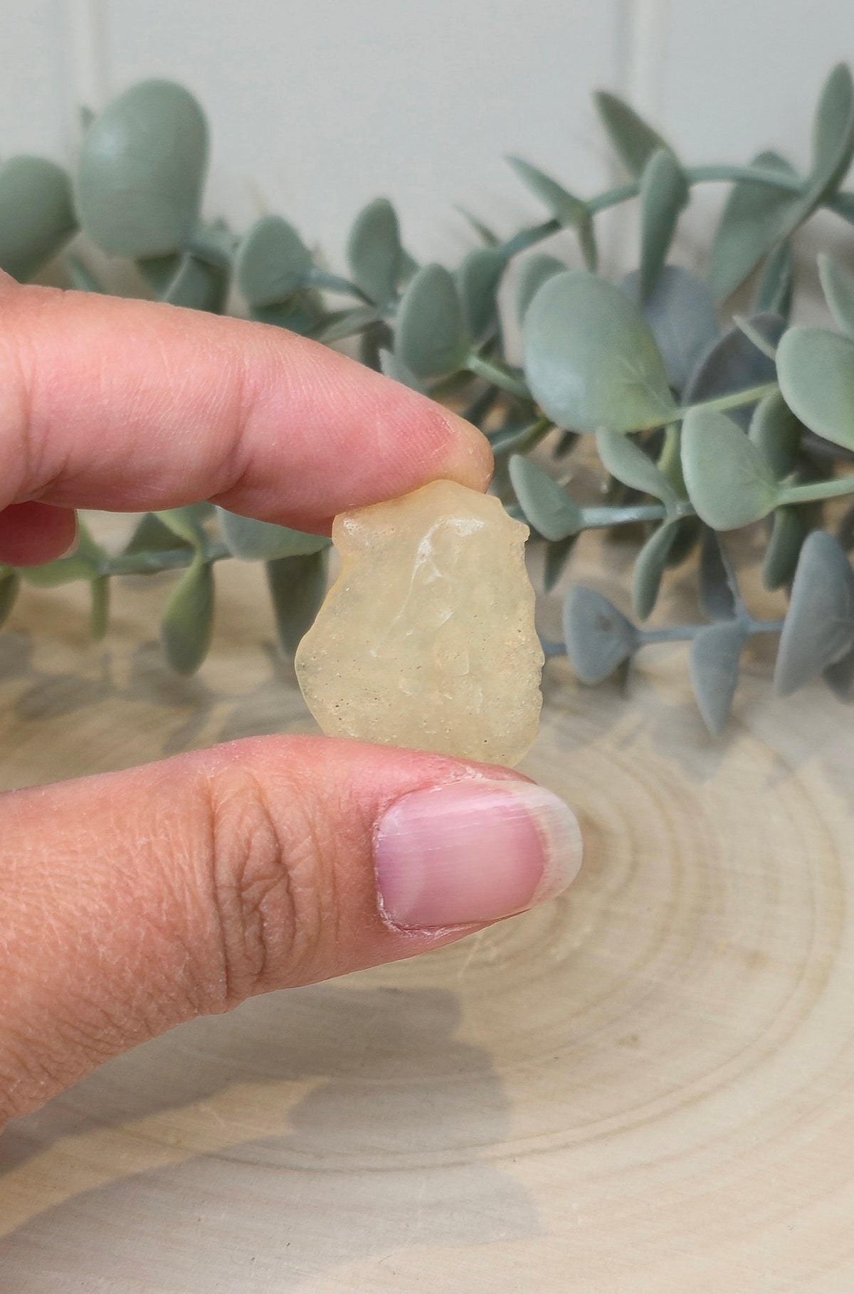 Verre de Libye du Désert du Sahara (Égypte)