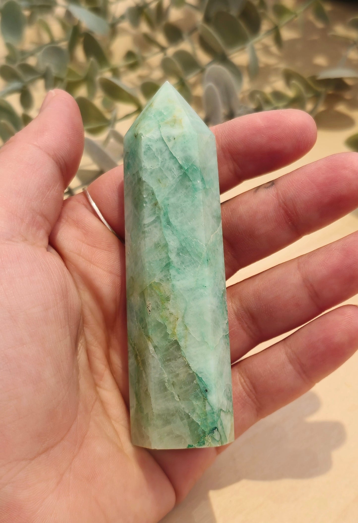 Pointe Quantum Quattro