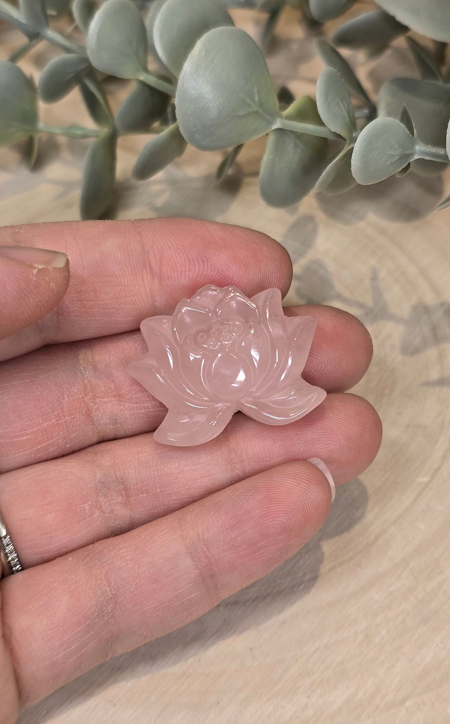 Lotus en Quartz rose