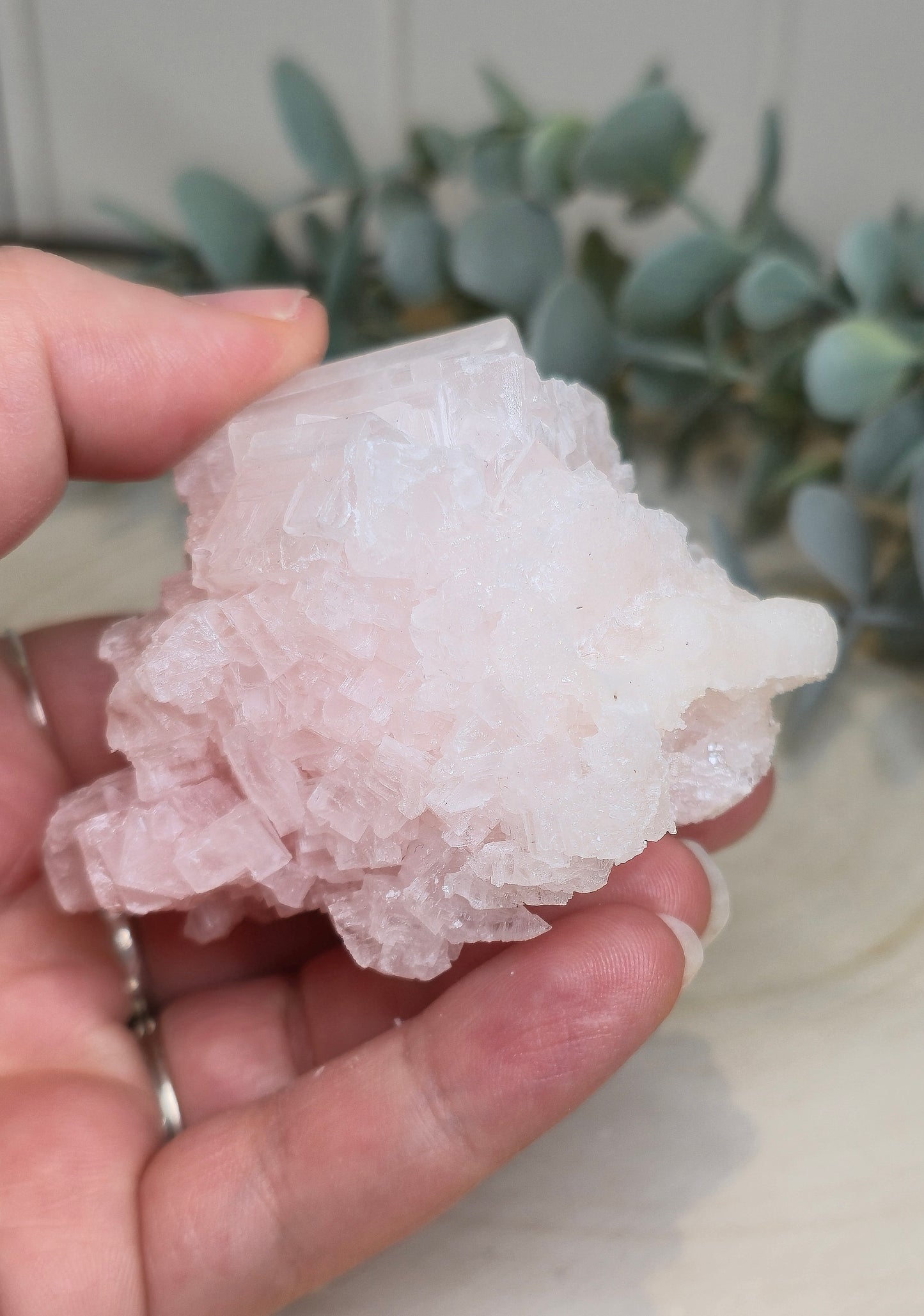 Halite brute de Californie