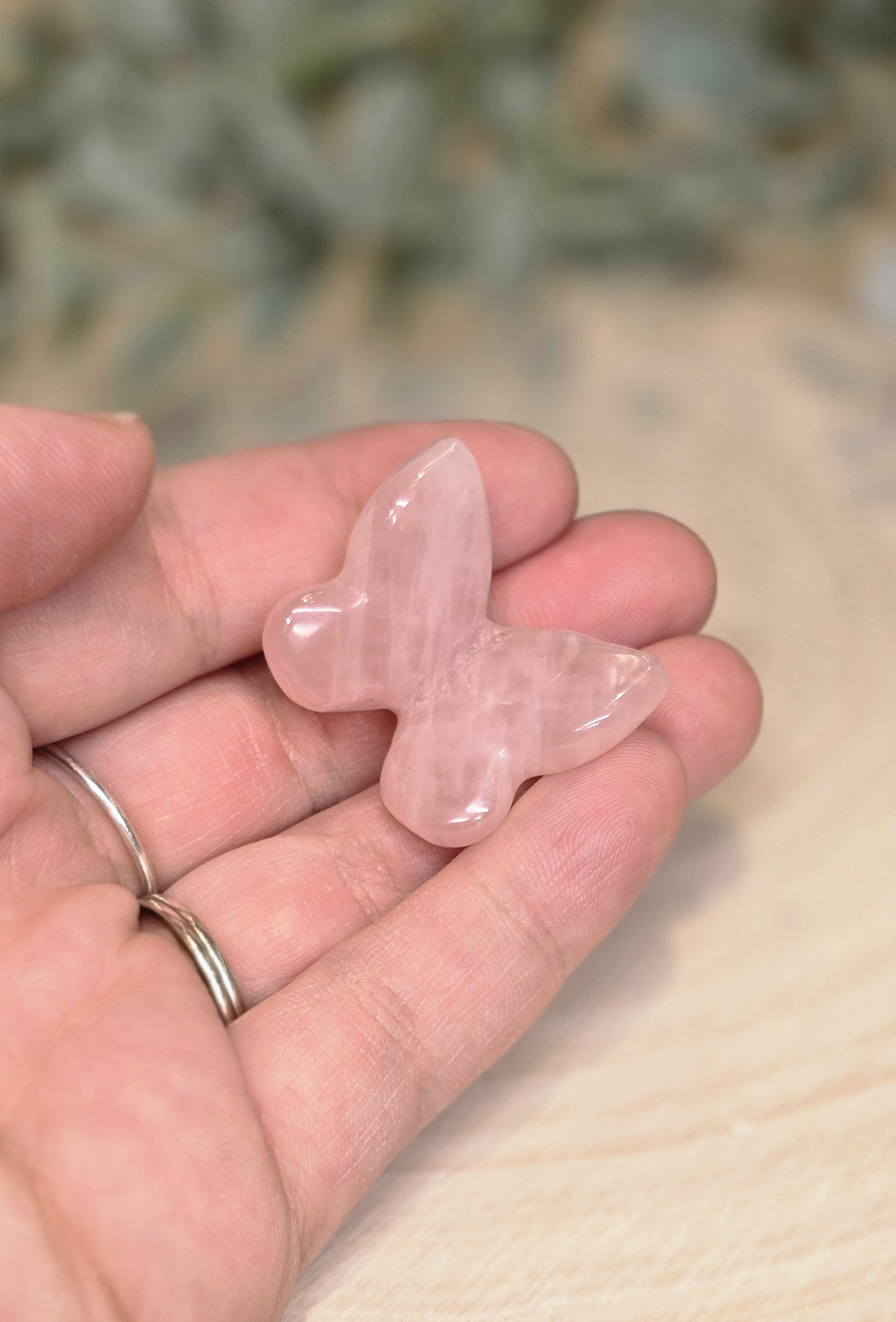 Papillon Quartz Rose