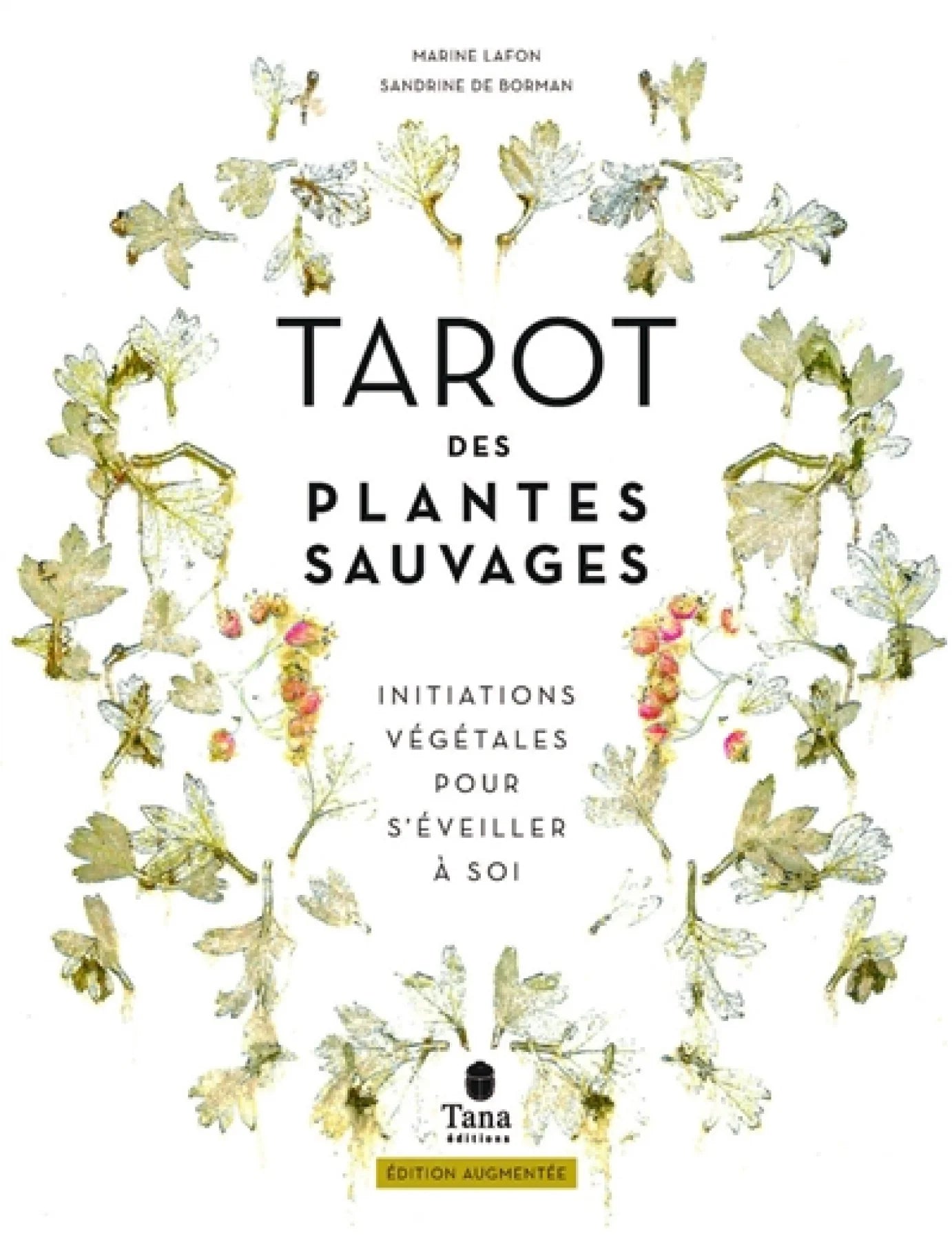 Tarot des plantes sauvages