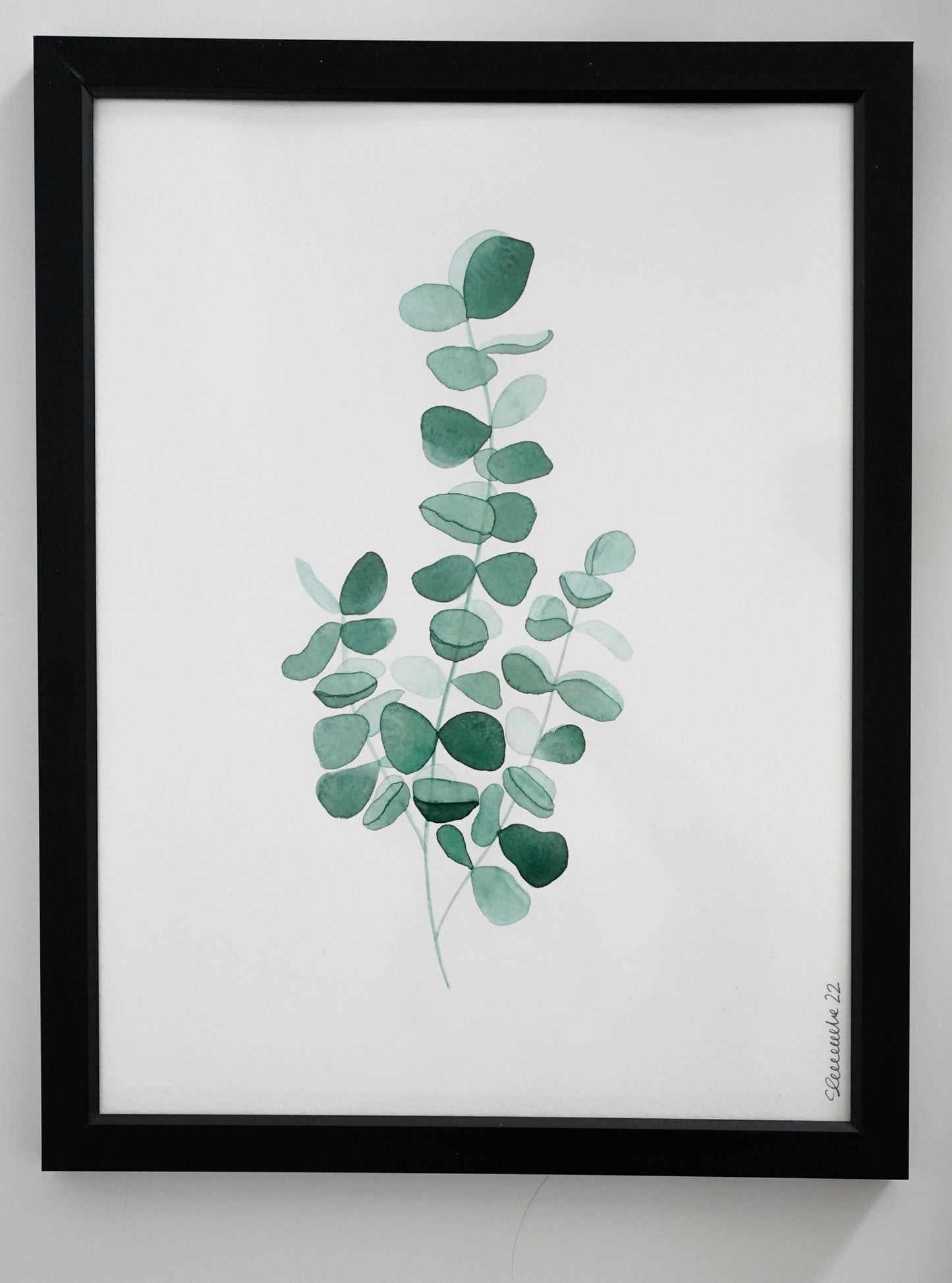 Aquarelle imprimée - Eucalyptus