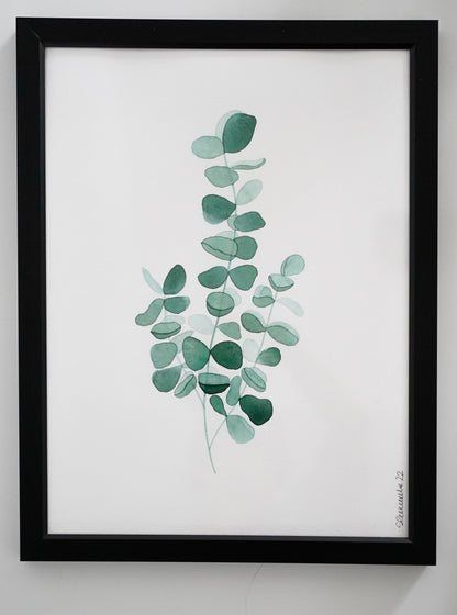 Oeuvre imprimée - Aquarelle Eucalyptus