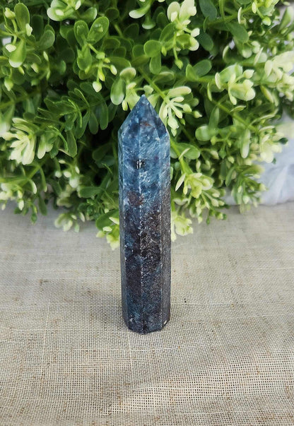 Pointe en Rubis Kyanite